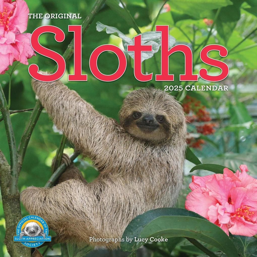 Lucy Cooke, Workman Calendars: Original Sloths Wall Calendar 2025 pertaining to Sloths 2025 Calendar Printable