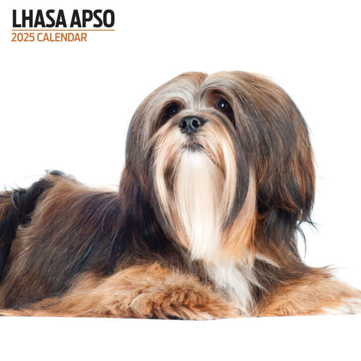 Lhasa Apsos 2025 Calendar  Printable