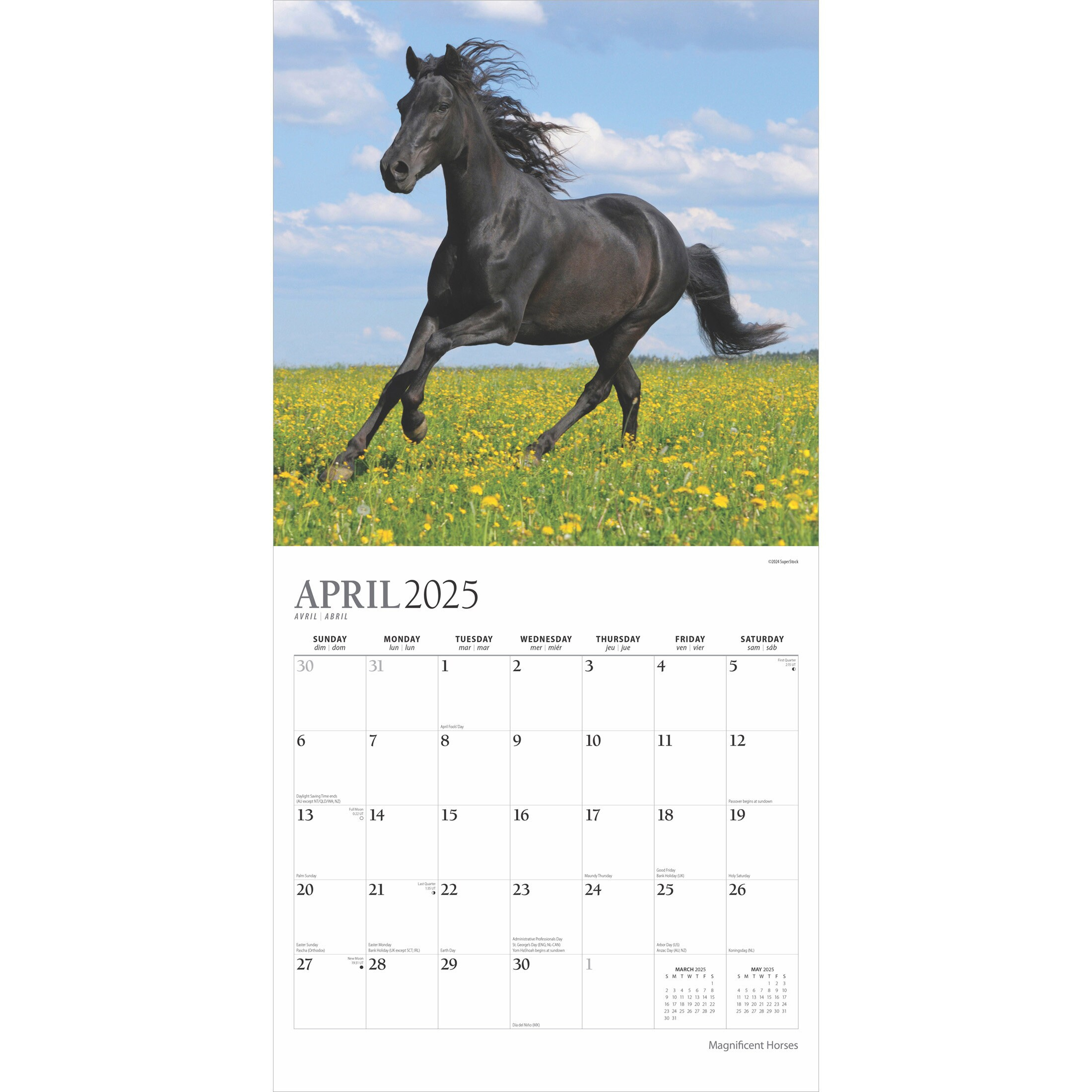 Magnificent Horses | 2025 12 X 24 Inch 18 Months Monthly Square inside Magnificent Horses Plato 2025 Calendar Printable