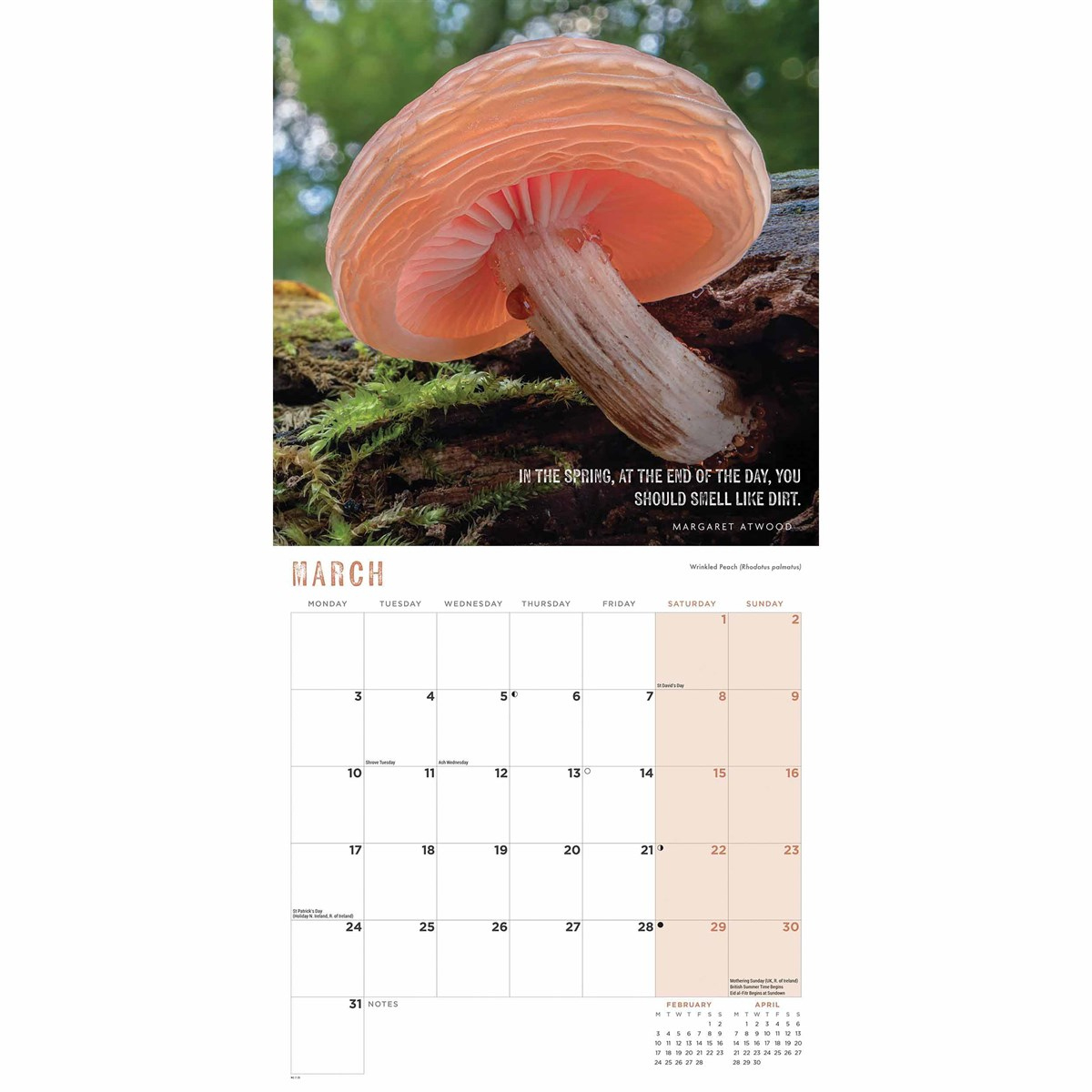 Marvellous Mushrooms Calendar 2025 regarding Marvelous Mushrooms 2025 Calendar Printable