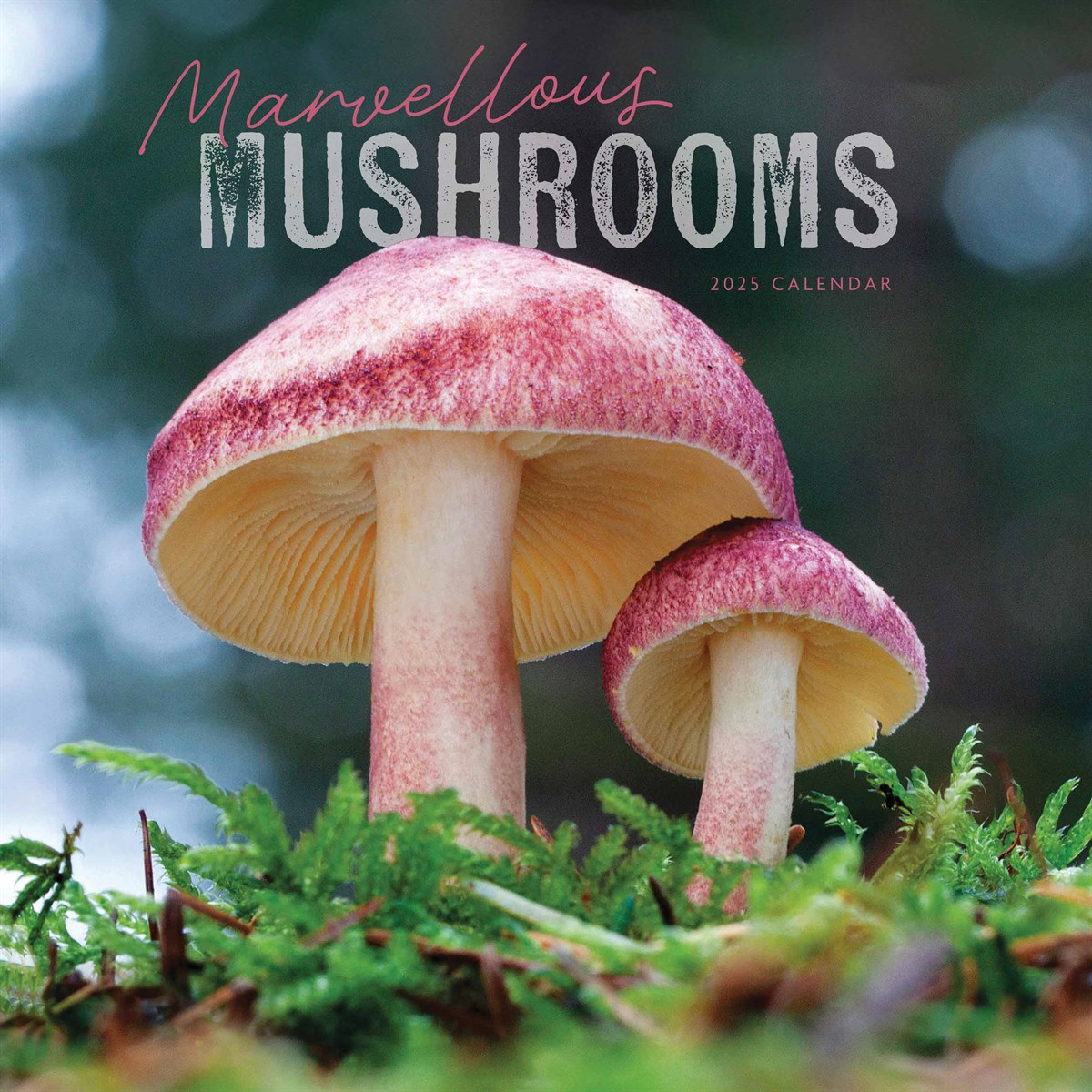 Marvellous Mushrooms Calendar 2025 throughout Marvelous Mushrooms 2025 Calendar Printable