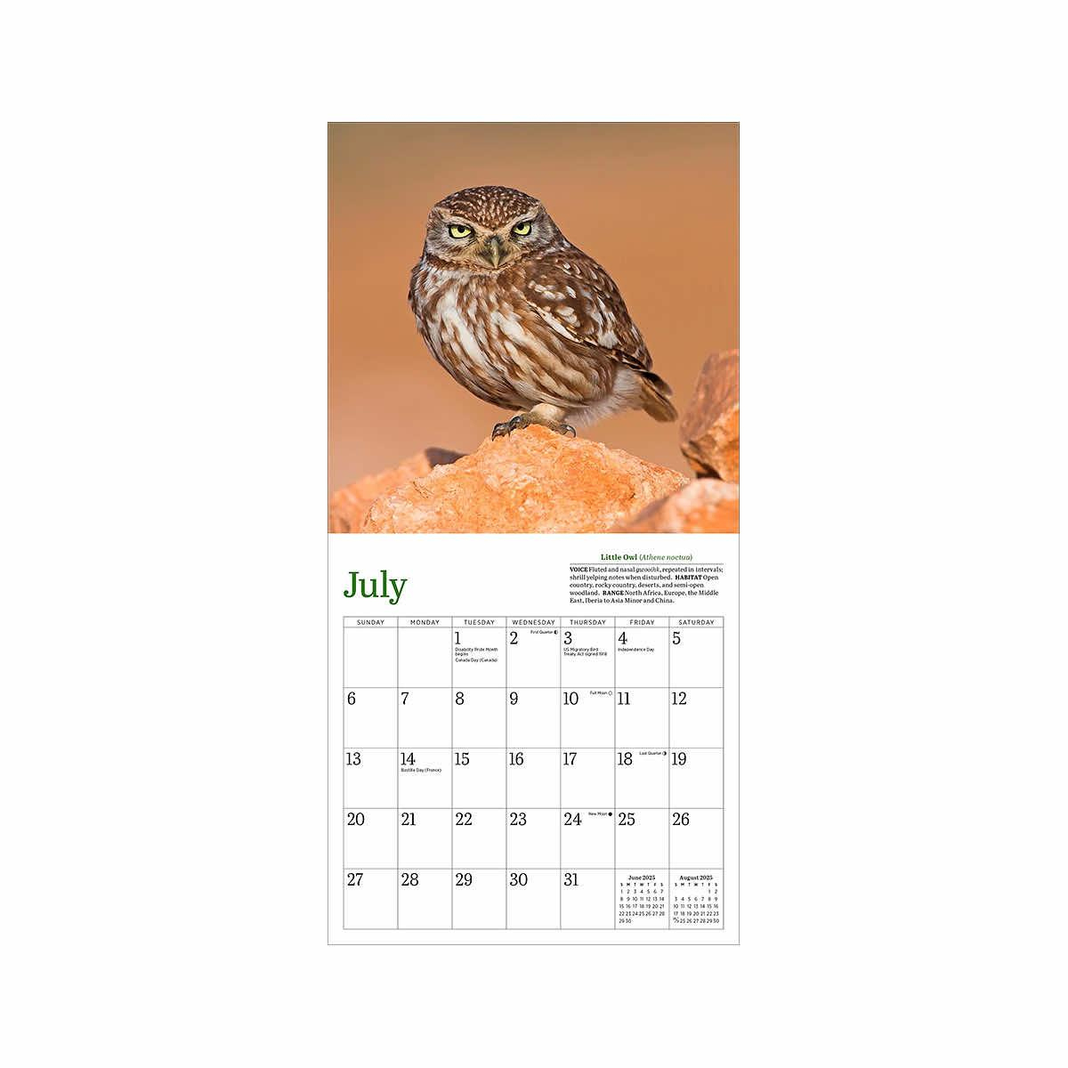 Mast General Store | Audubon Little Owls 2025 Mini Wall Calendar throughout Audubon Little Owls 2025 Calendar Printable