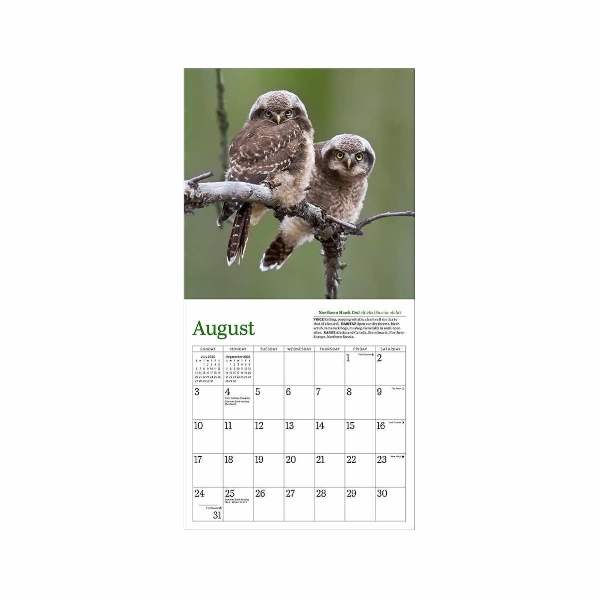 Mast General Store | Audubon Little Owls 2025 Mini Wall Calendar with regard to Audubon Little Owls 2025 Calendar Printable
