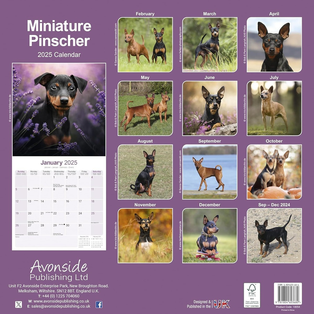 Miniature Pinscher - 2025 Calendar - Brand New - 603680 | Ebay intended for Just Miniature Pinschers 2025 Calendar Printable