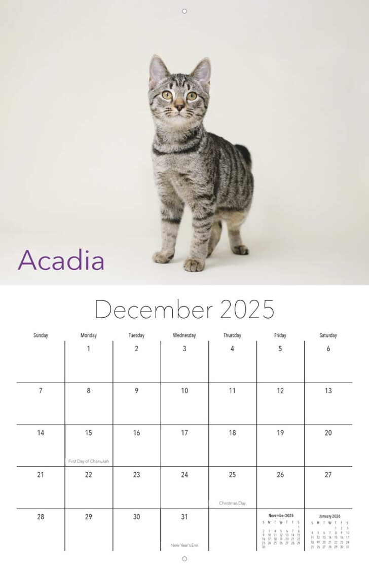 Kittens 2025 Calendar Printable