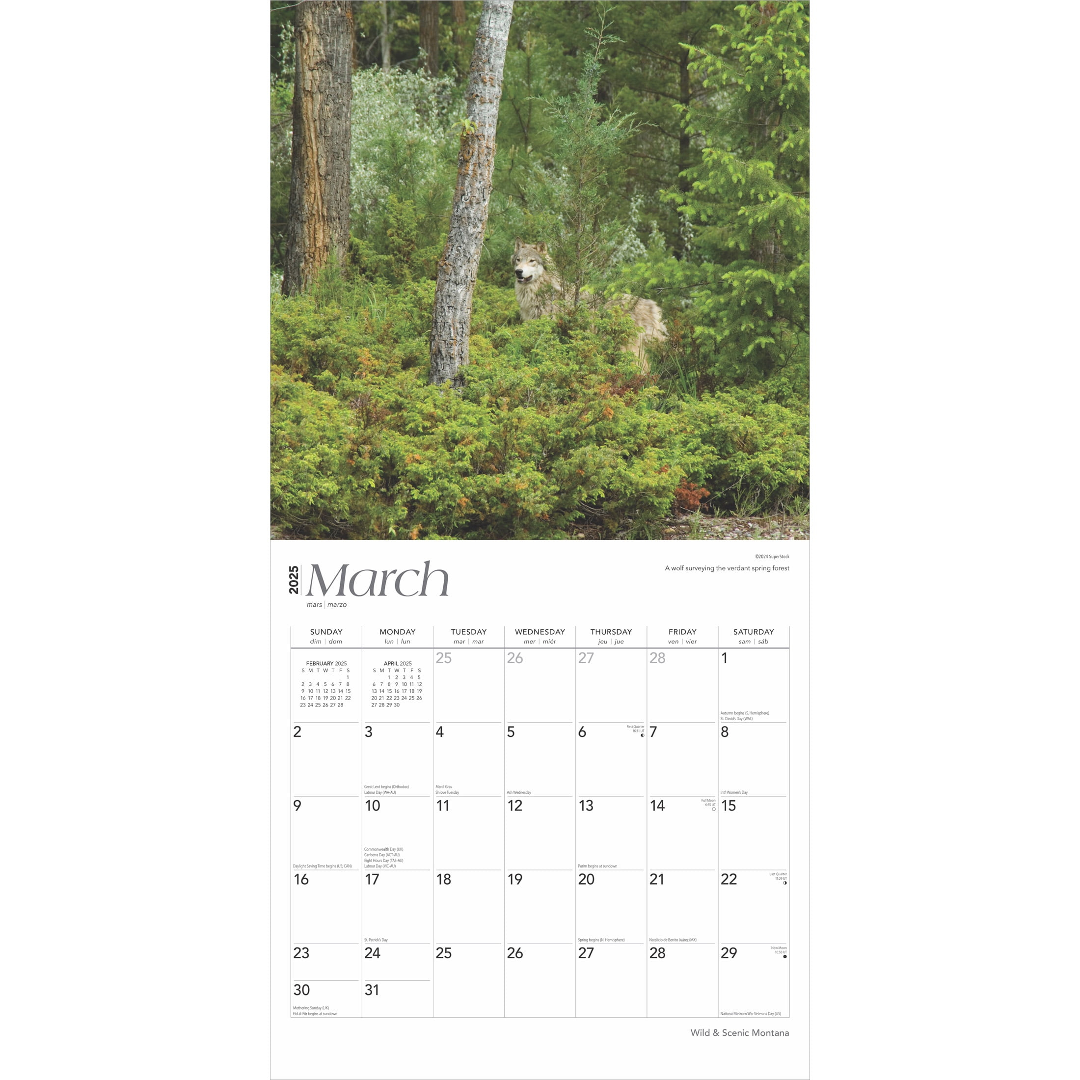 Montana Wild &amp;amp; Scenic | 2025 12X24&amp;quot; (Hanging) Wall Calendar | Browntrout regarding Montana Wild and Scenic 2025 Calendar Printable