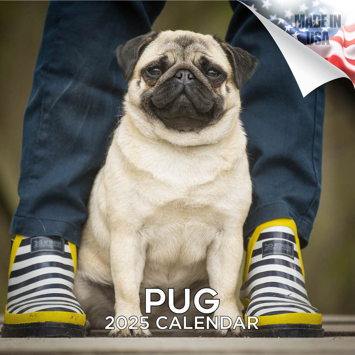 Mops Hunderasse Kalender 2025 Volle Grösse 12X24 Made In Usa throughout Just Pug Puppies 2025 Calendar Printable