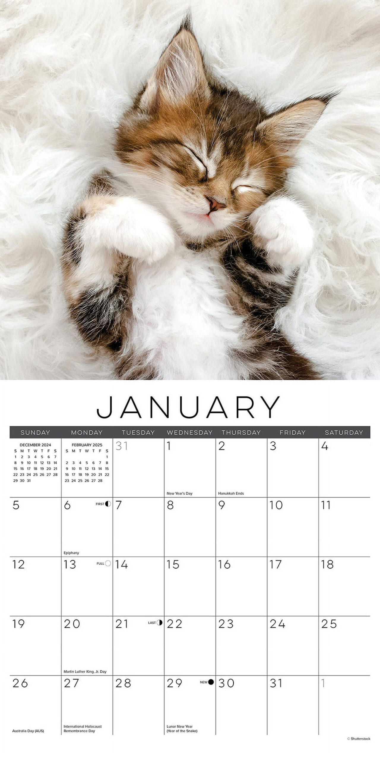 Naptime: A Cat&amp;#039;S Favorite Pastime 2025 Wall Calendar - Walmart intended for Naptime Dogs 2025 Calendar Printable