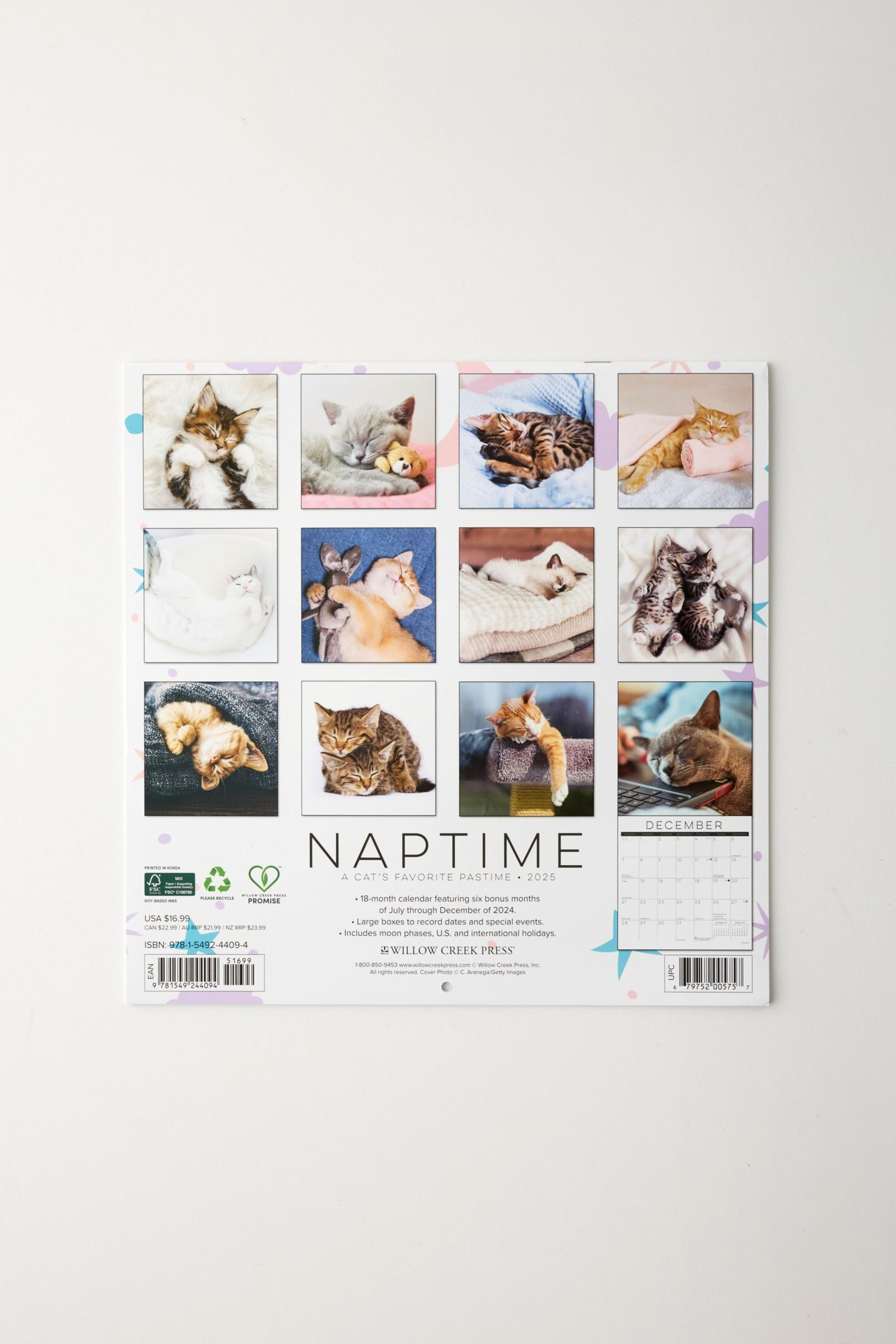 Naptime Cats 2025 Wall Calendar | Urban Outfitters Mexico within Naptime Cats 2025 Calendar Printable