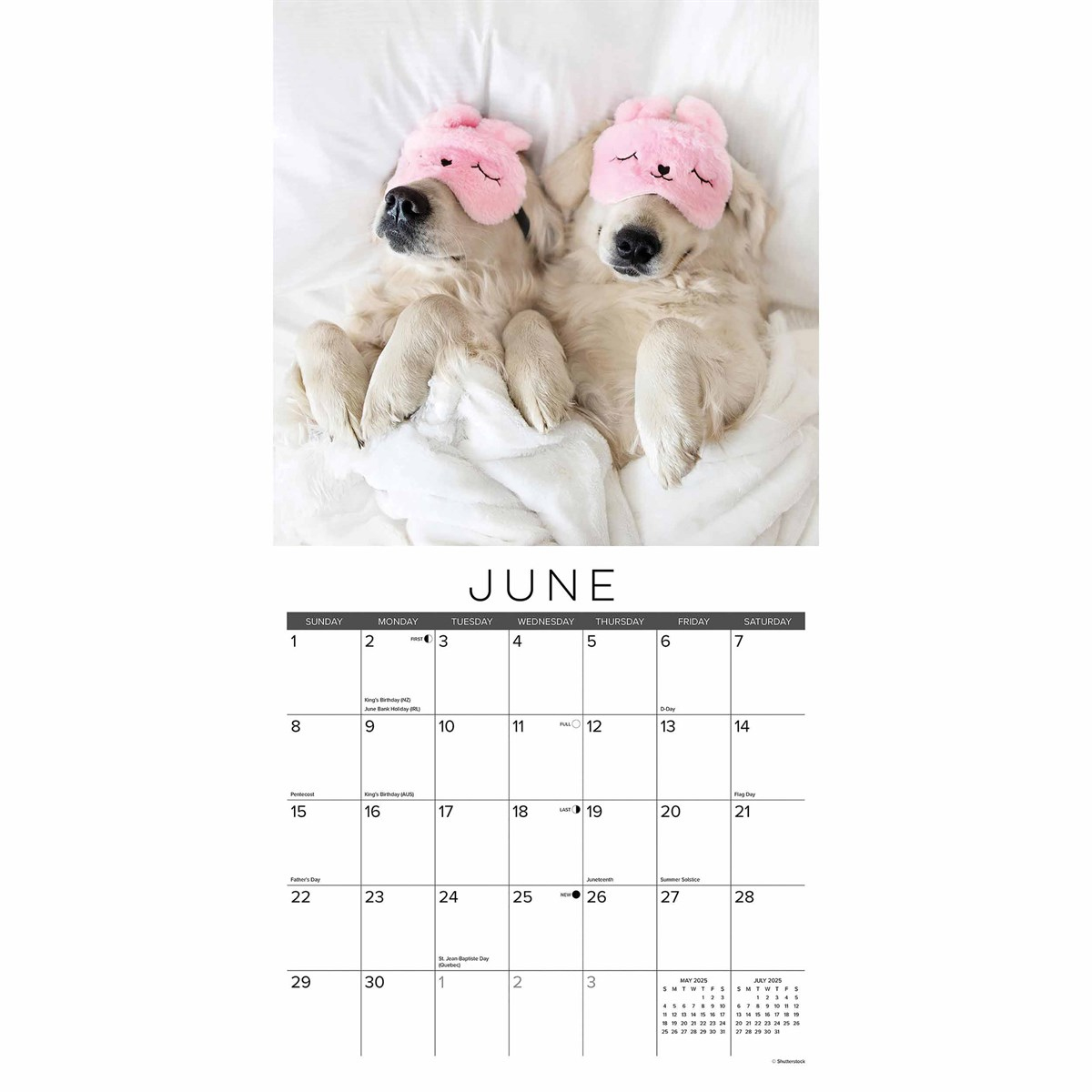 Naptime Dogs Calendar 2025 pertaining to Naptime Dogs 2025 Calendar Printable