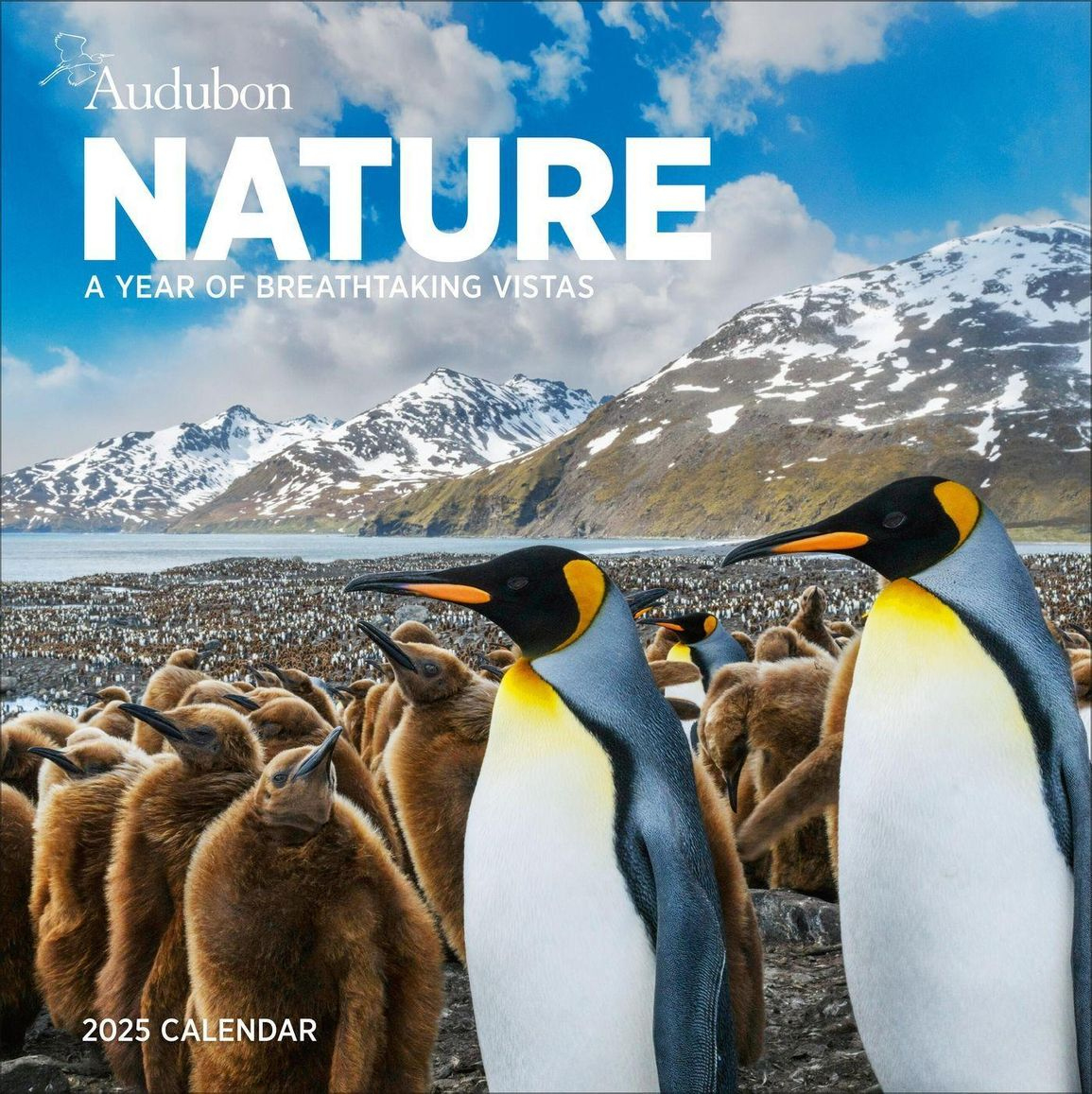 National Audubon Society: Audubon Nature Wall Calendar 2025 (Kalender) for Audubon Nature 2025 Calendar Printable