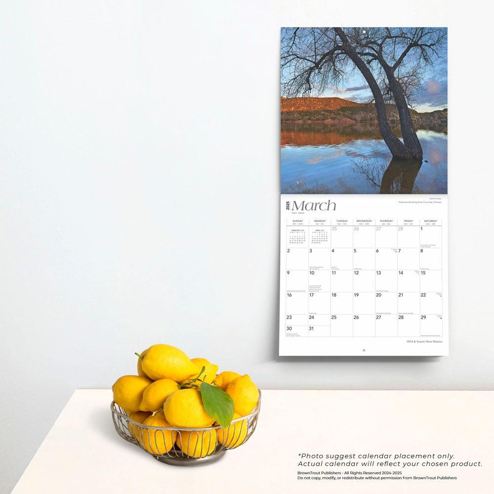 New Mexico Wild &amp;amp; Scenic | 2025 12 X 24 Inch Monthly Square Wall throughout New Mexico Wild And Scenic 2025 Calendar Printable