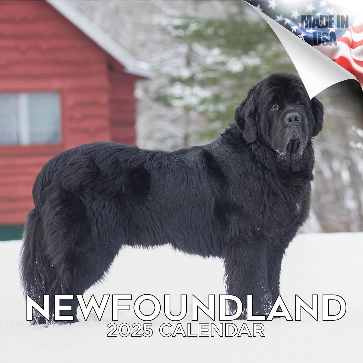 Newfoundland Dog Breed Calendar 2025 Full Size 12X24 Made In Usa with regard to Just Newfoundlands 2025 Calendar Printable