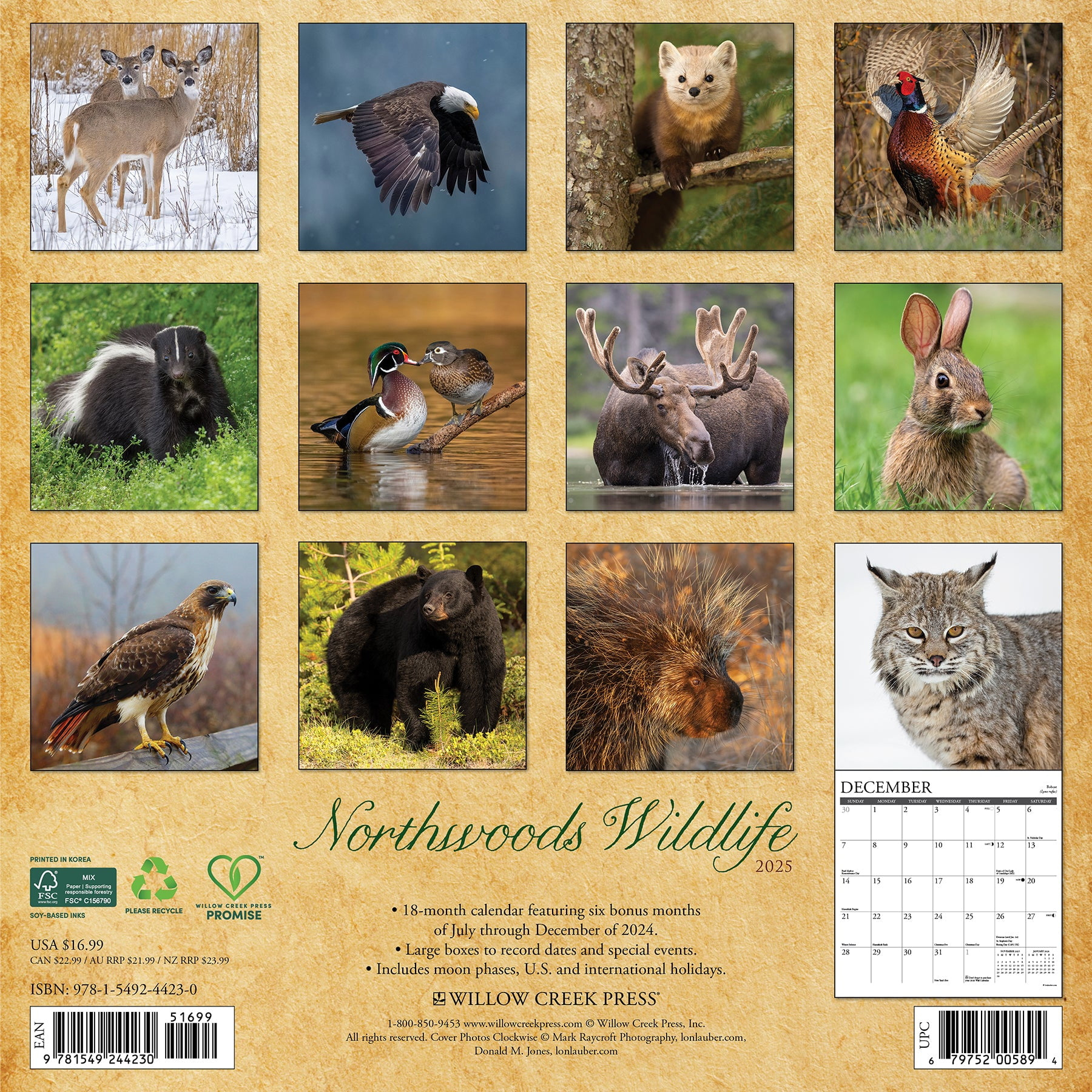 Northwoods Wildlife 2025 Wall Calendar for Life in the Northwoods 2025 Calendar Printable