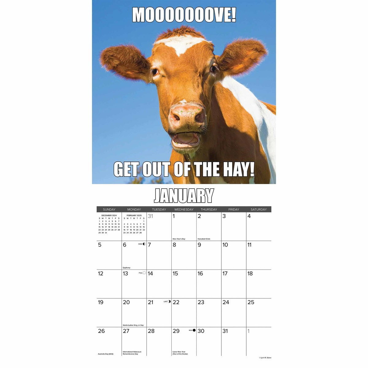 Not In The Mooood Calendar 2025 with Not in the Mooood 2025 Calendar Printable