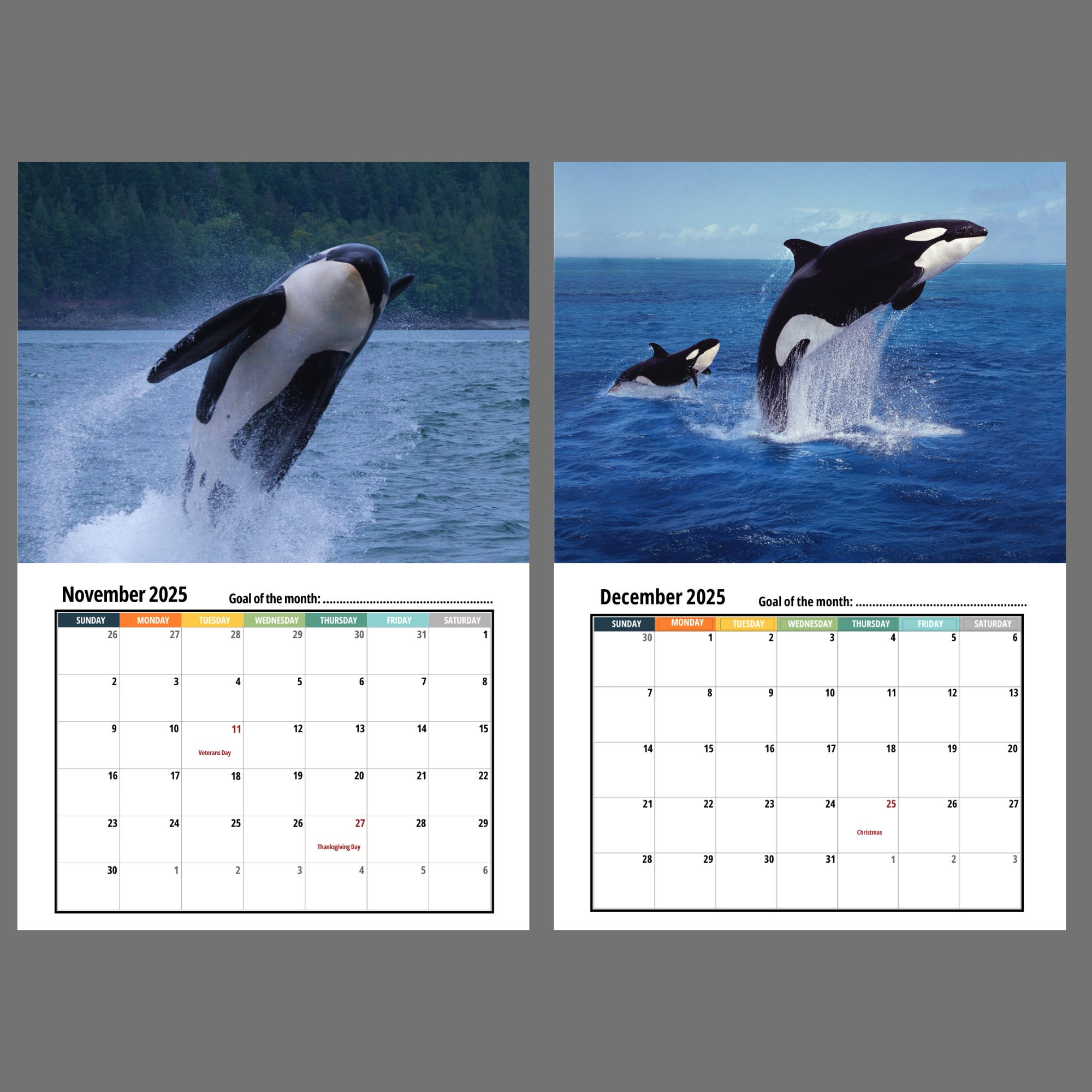 Orca Wall Calendar 2025 - Etsy in Orcas 2025 Calendar Printable