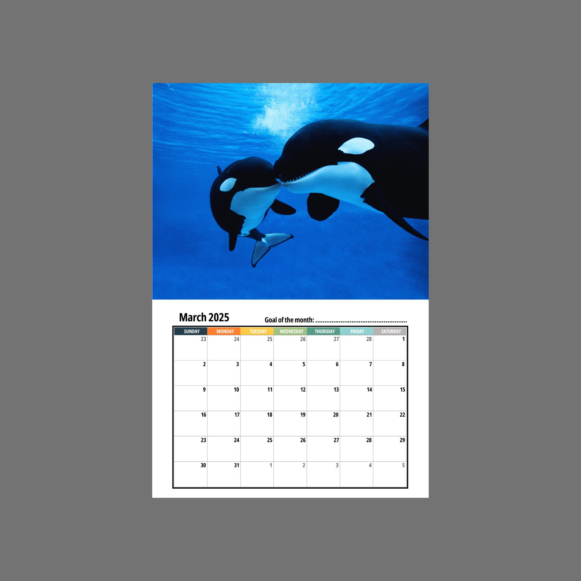 Orca Wall Calendar 2025 - Etsy regarding Orcas 2025 Calendar Printable