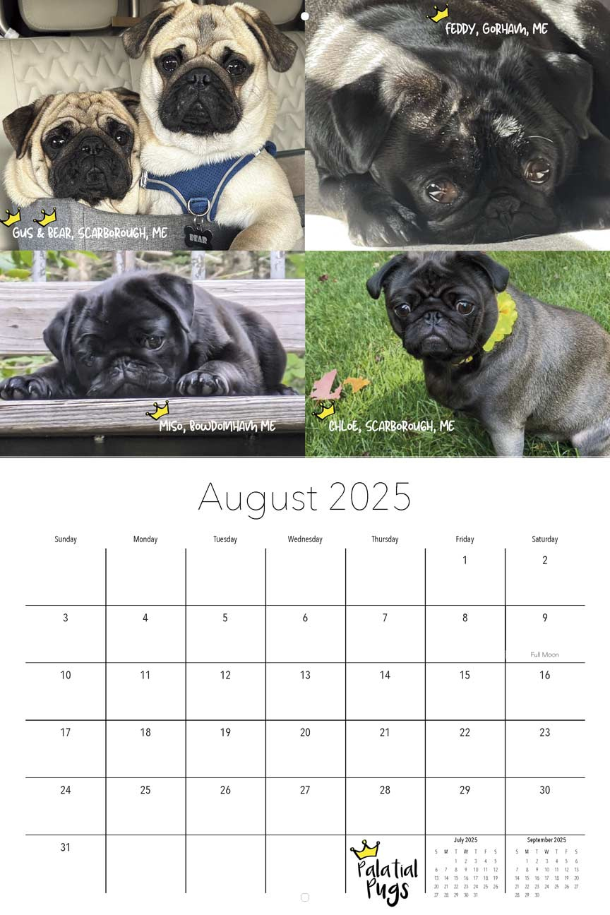 Palatial Pugs 2025 Calendar Community Calendar - Yearbox Calendars inside Just Pug Puppies 2025 Calendar Printable