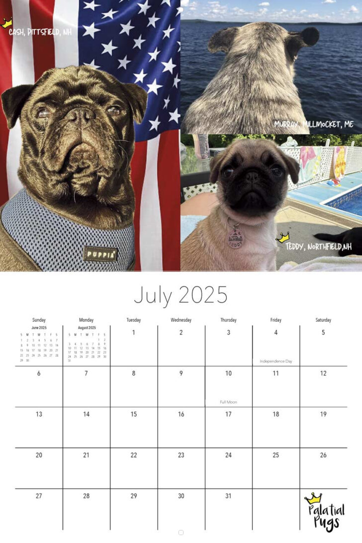 Just Pug Puppies 2025 Calendar Printable