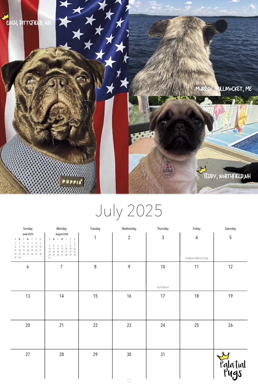 Palatial Pugs 2025 Calendar Community Calendar - Yearbox Calendars intended for Just Pug Puppies 2025 Calendar Printable