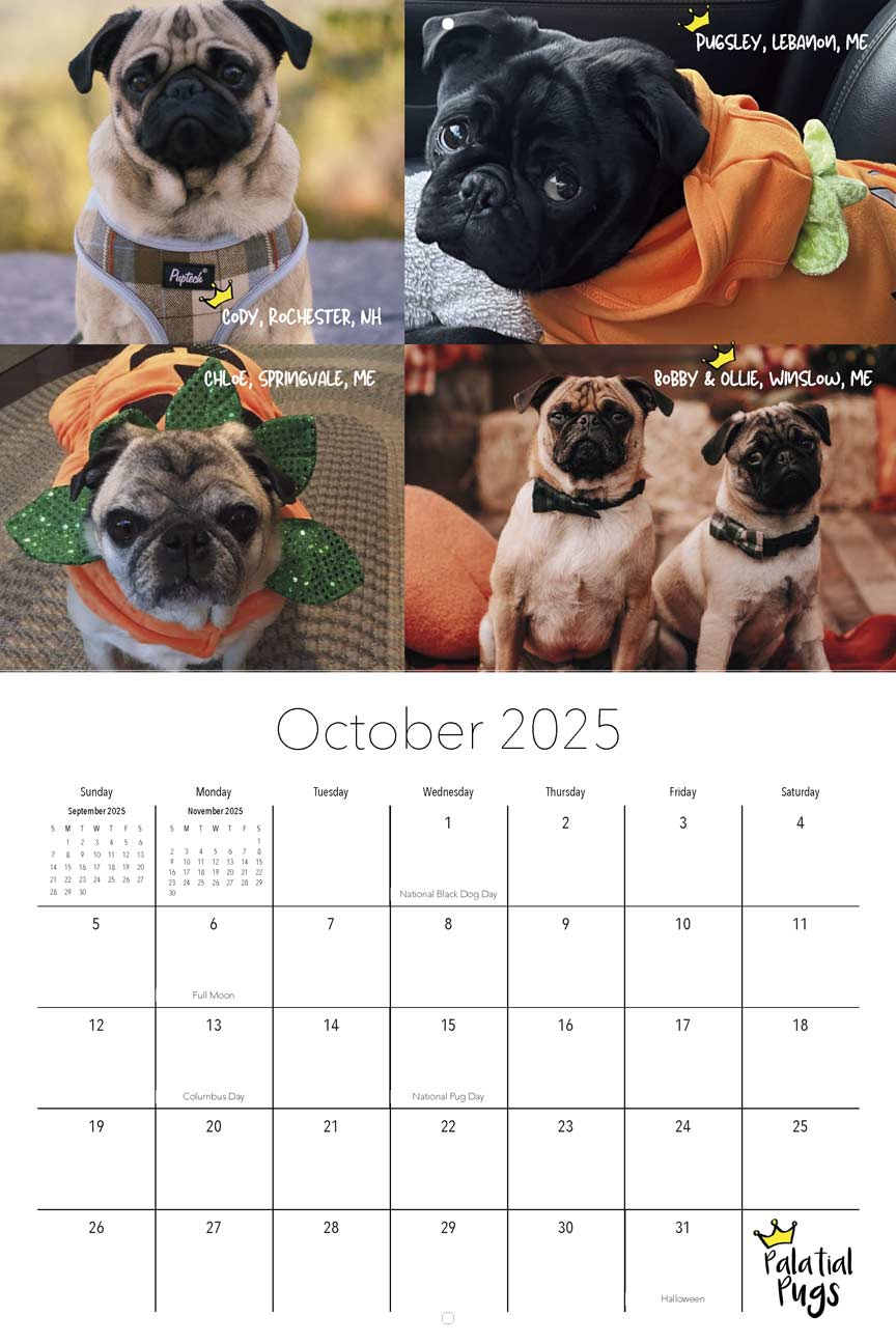 Palatial Pugs 2025 Calendar Community Calendar - Yearbox Calendars with Just Pug Puppies 2025 Calendar Printable