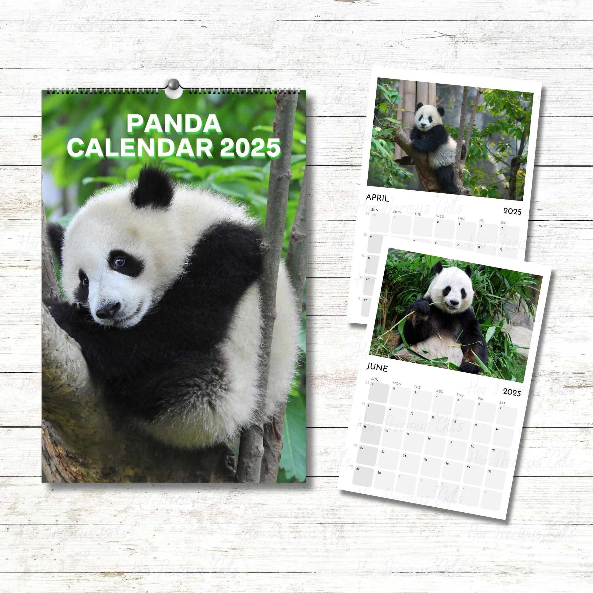 Panda Calendar 2025, Wall Calendar, Living Room Calendar 2025 for Giant Pandas Wwf 2025 Calendar Printable