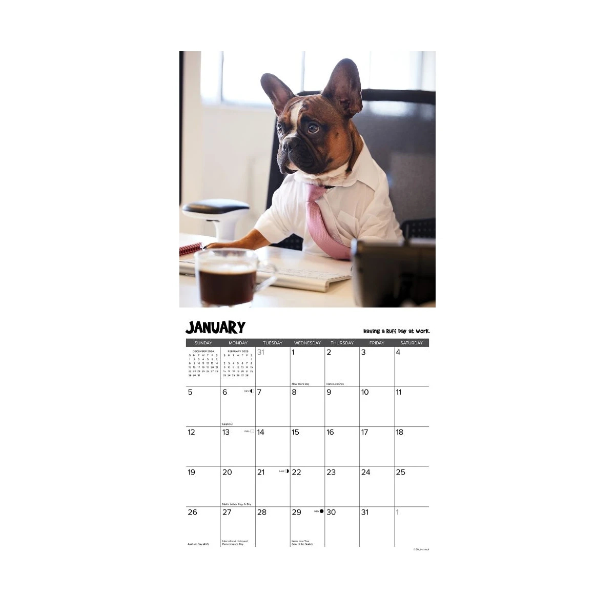 Pardon My Frenchie 2025 Wall Calendar | Baxterboo inside Pardon My Frenchie 2025 Calendar Printable