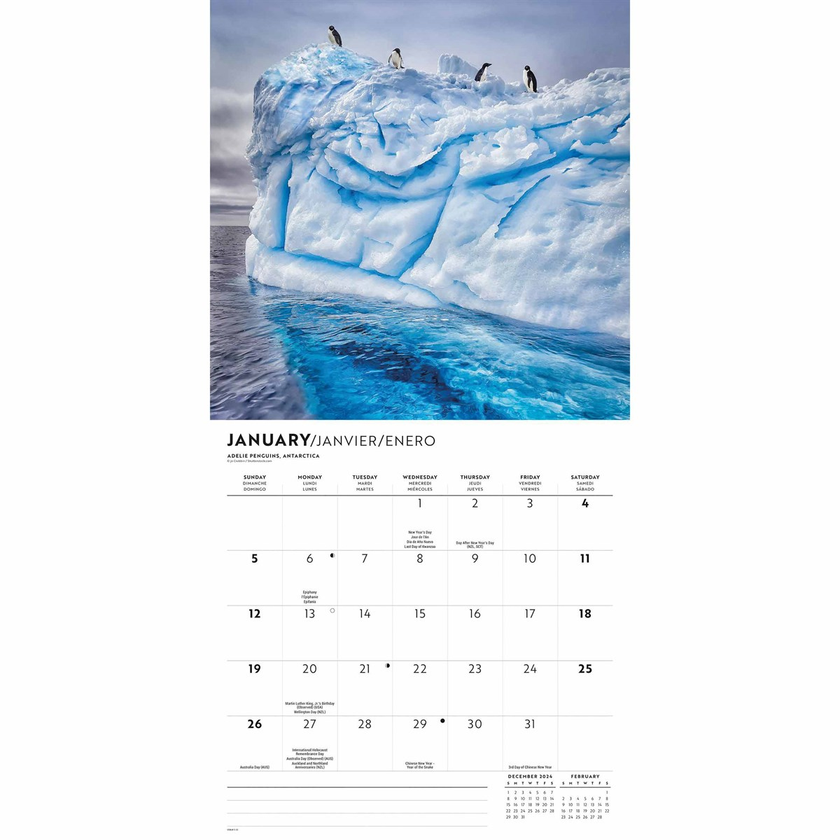 Passport To The World Calendar 2025 for Passport To The World 2025 Calendar Printable