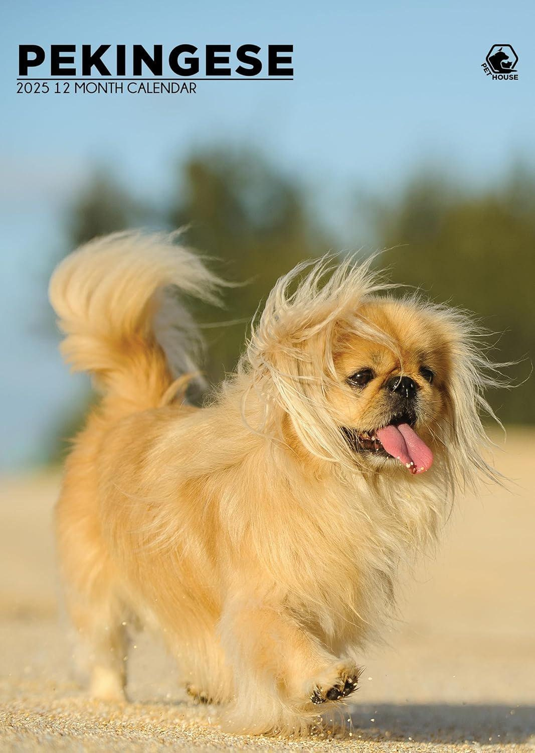 Pekingese 2025 Wall Calendar - Etsy with regard to Just Pekingese 2025 Calendar Printable