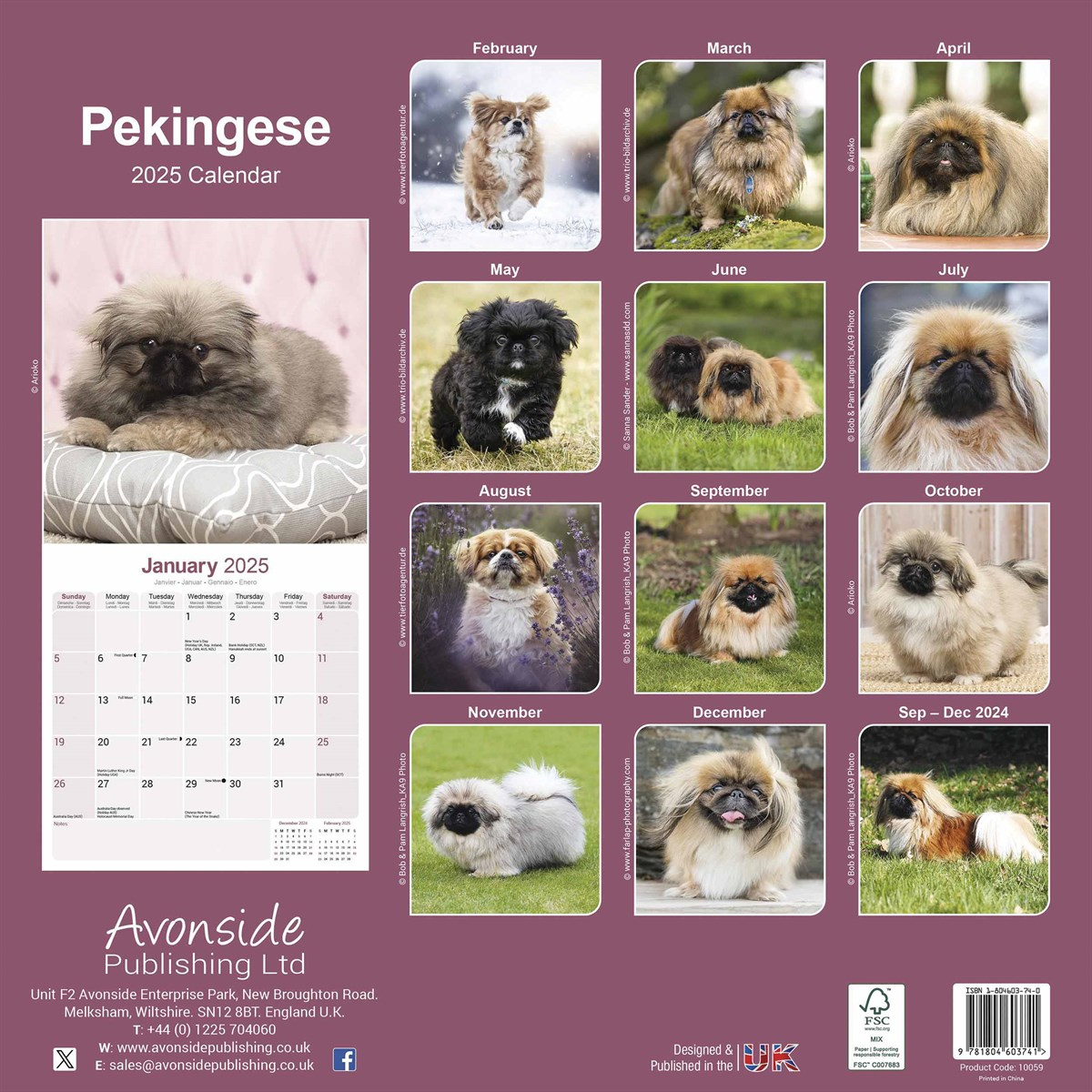 Pekingese Calendar 2025 in Just Pekingese 2025 Calendar Printable