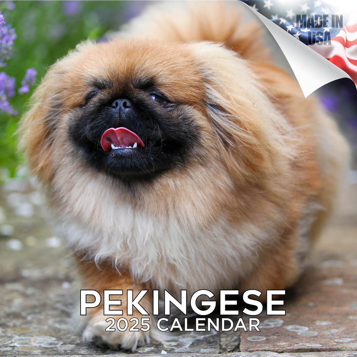 Pekingese Dog Breed Calendar 2025 Full Size 12X24 Made In Usa | Ebay for Just Pekingese 2025 Calendar Printable