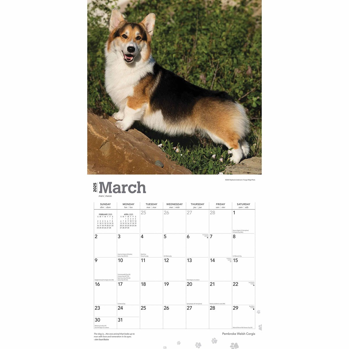 Pembroke Welsh Corgis Calendar 2025 regarding Just Pembrook Corgis 2025 Calendar Printable