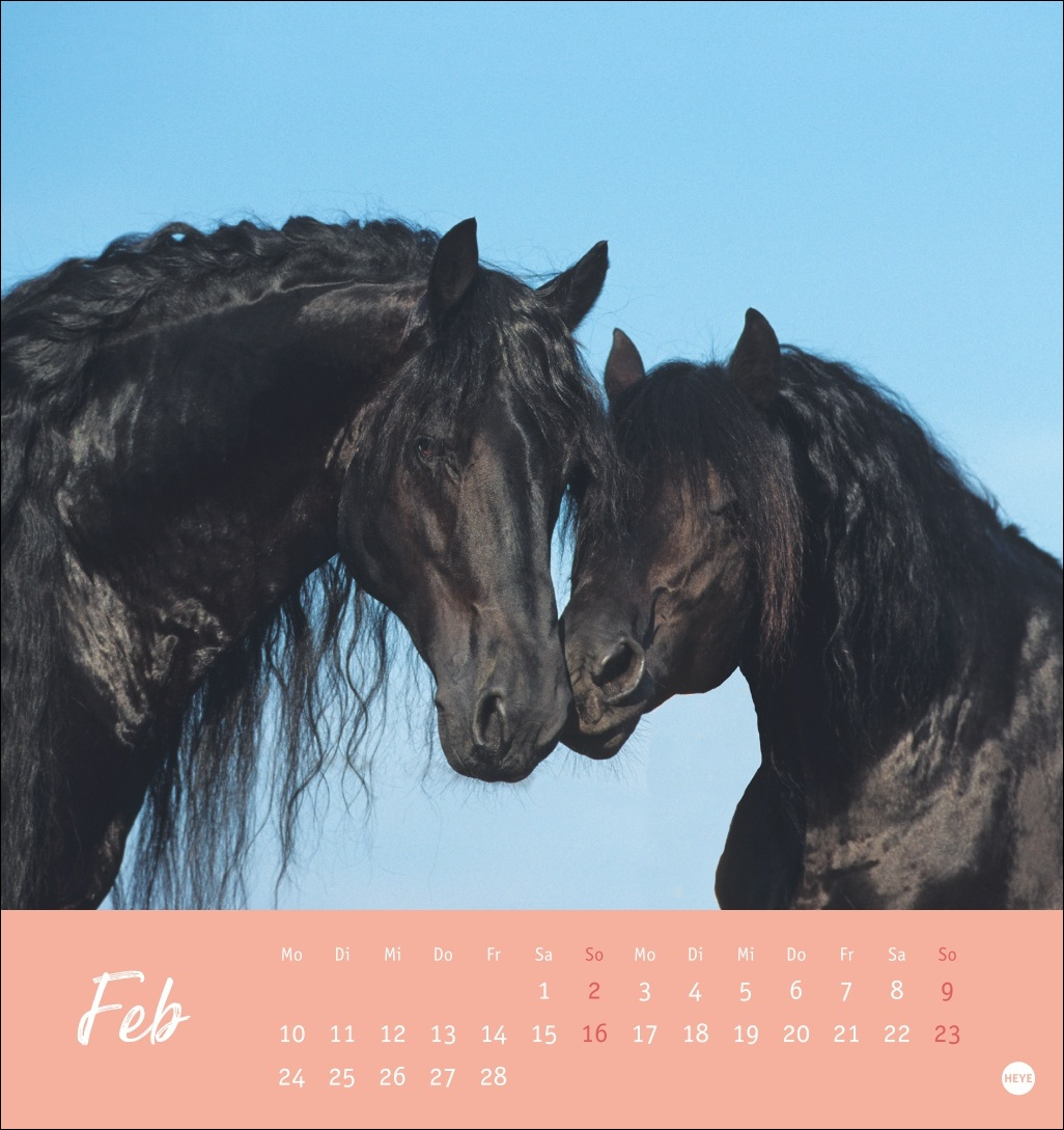 Pferde Postkartenkalender Starke Freunde 2025 Kalender throughout Friesians Horses 2025 Calendar Printable