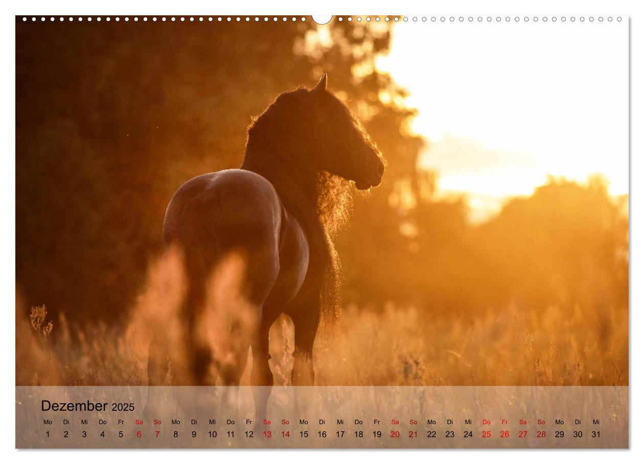 Pferdezauber 2025 throughout Why Horses Do That 2025 Calendar Printable