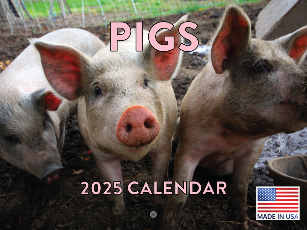 Pig Calendar In Collectible Calendars (Current &amp;amp; Next Year) | Ebay throughout Pig Pilates 2025 Calendar Printable