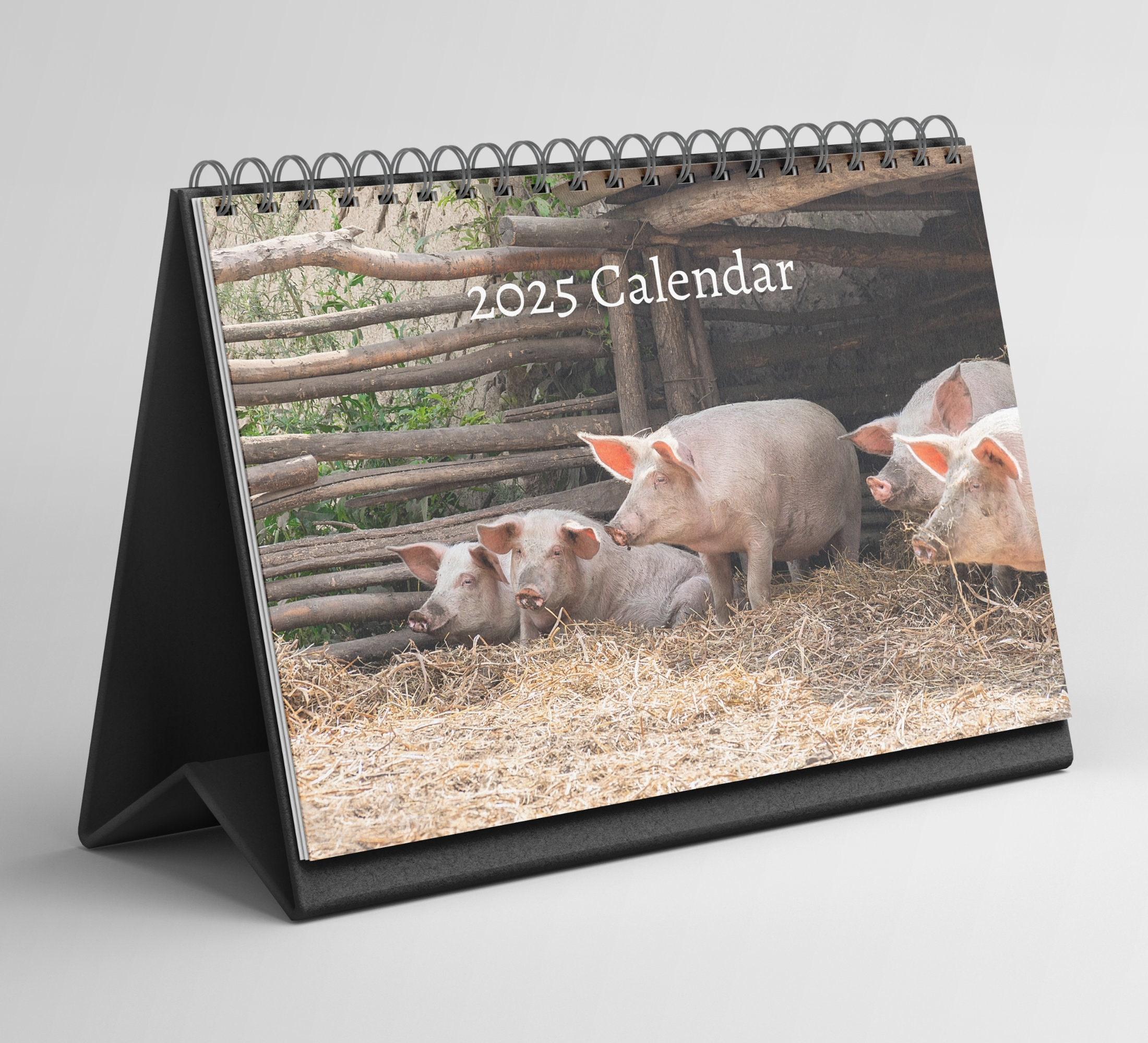 Pig Desk Calendar - Etsy pertaining to Pig Pilates 2025 Calendar Printable