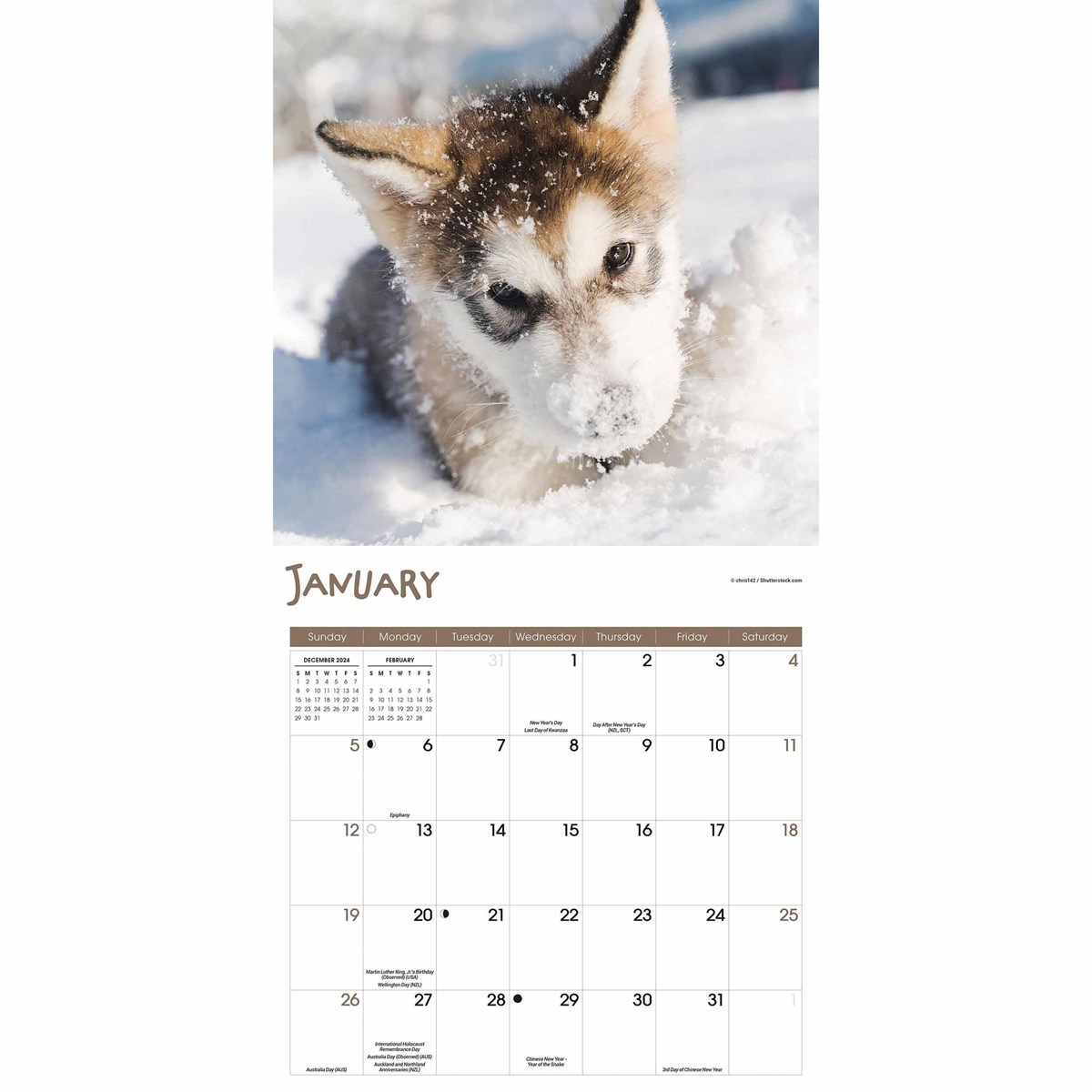 Playful Puppies Calendar 2025 pertaining to Playful Puppies 2025 Calendar Printable