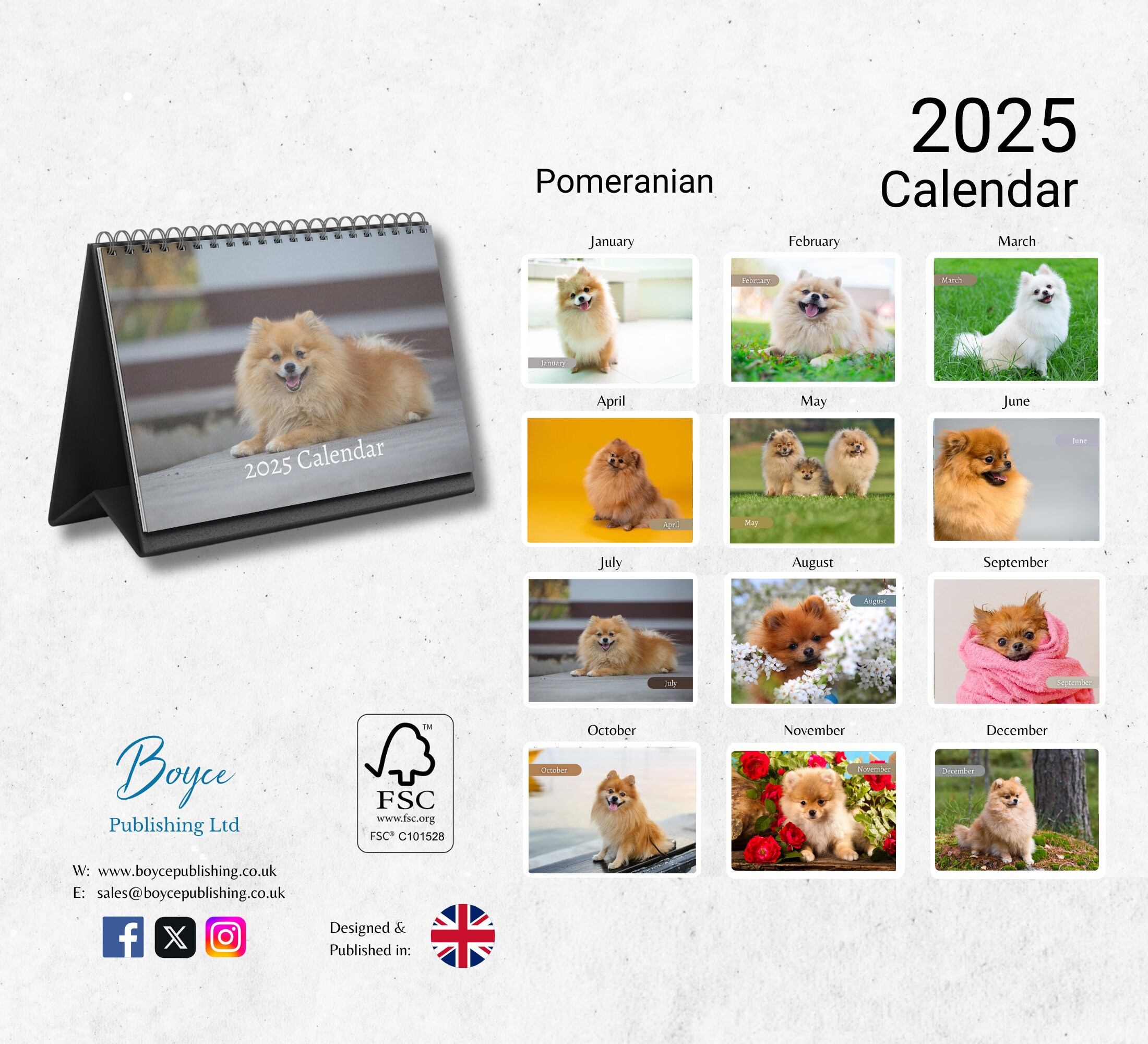 Pomeranian Desk Calendar 2025-2026: Standing Flip Desktop Calendar in Just Pomeranian Puppies 2025 Calendar Printable