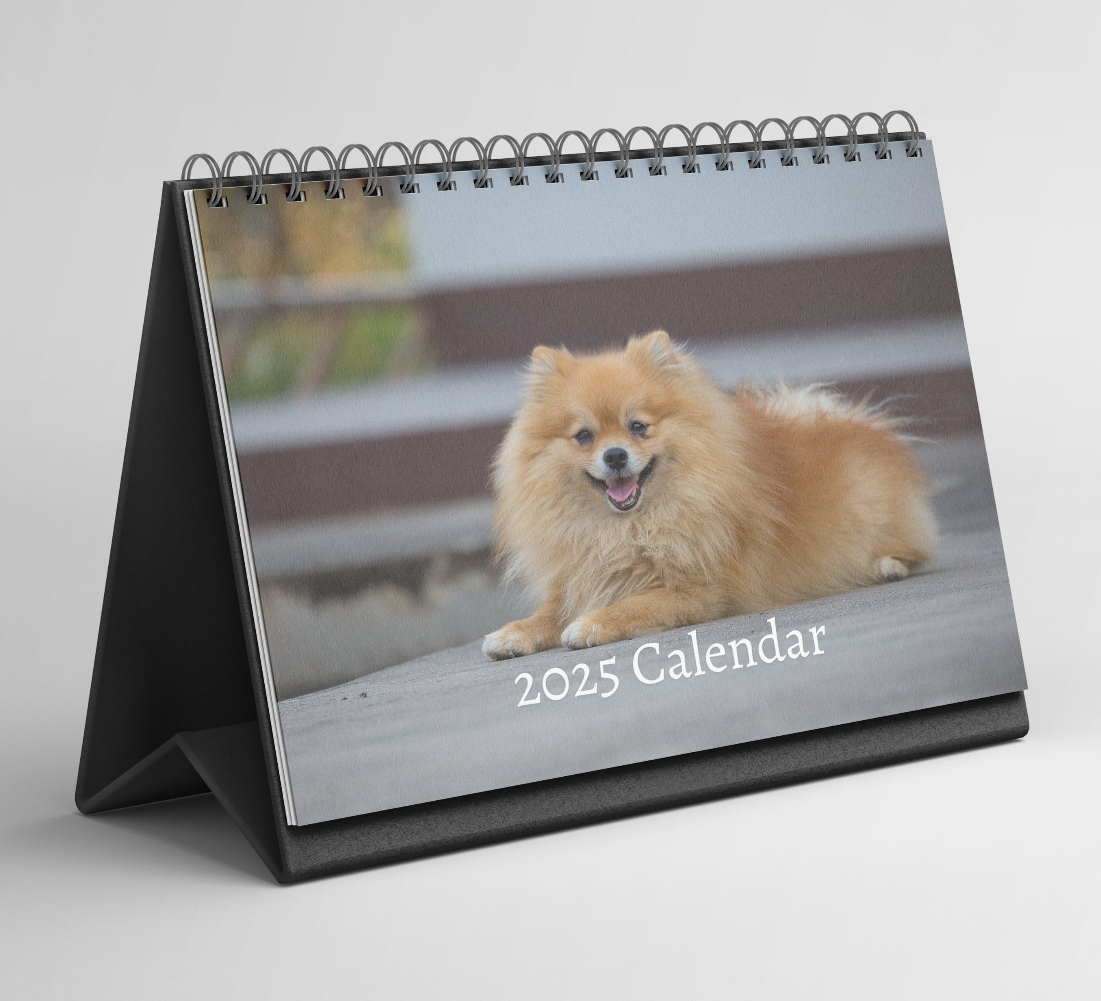 Pomeranian Desk Calendar 2025-2026: Standing Flip Desktop Calendar throughout Just Pomeranian Puppies 2025 Calendar Printable