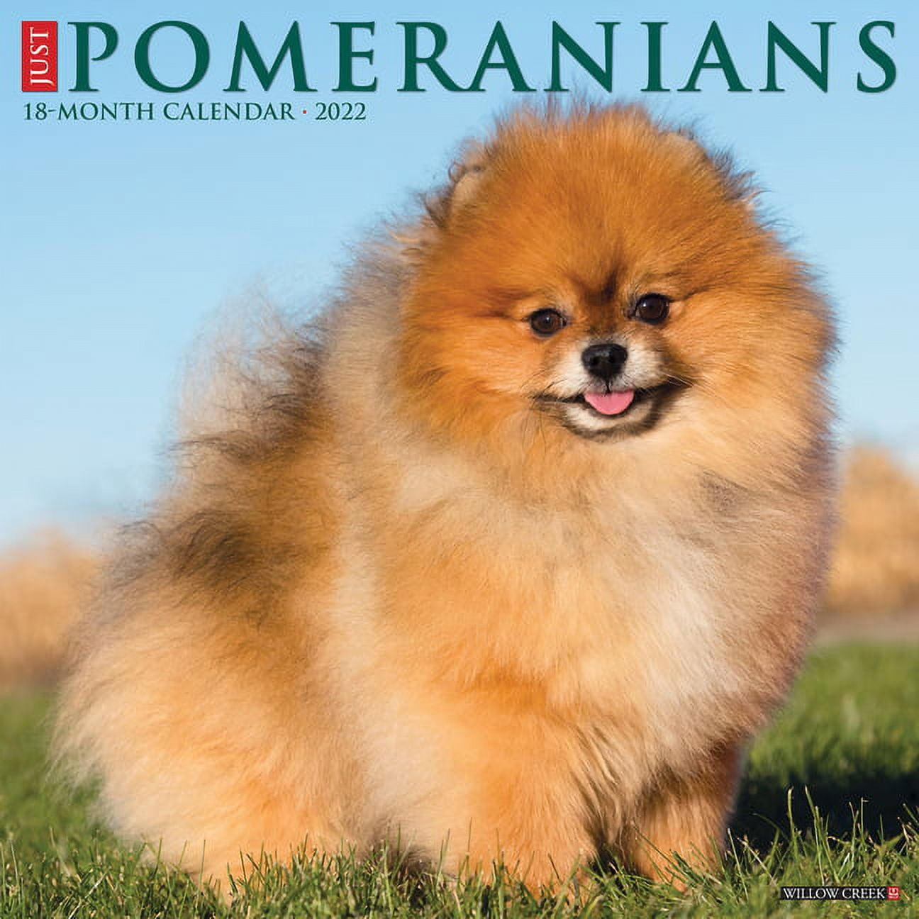 Pomeranians 2025 Wall Calendar - Walmart with Pomeranians 2025 Calendar Printable