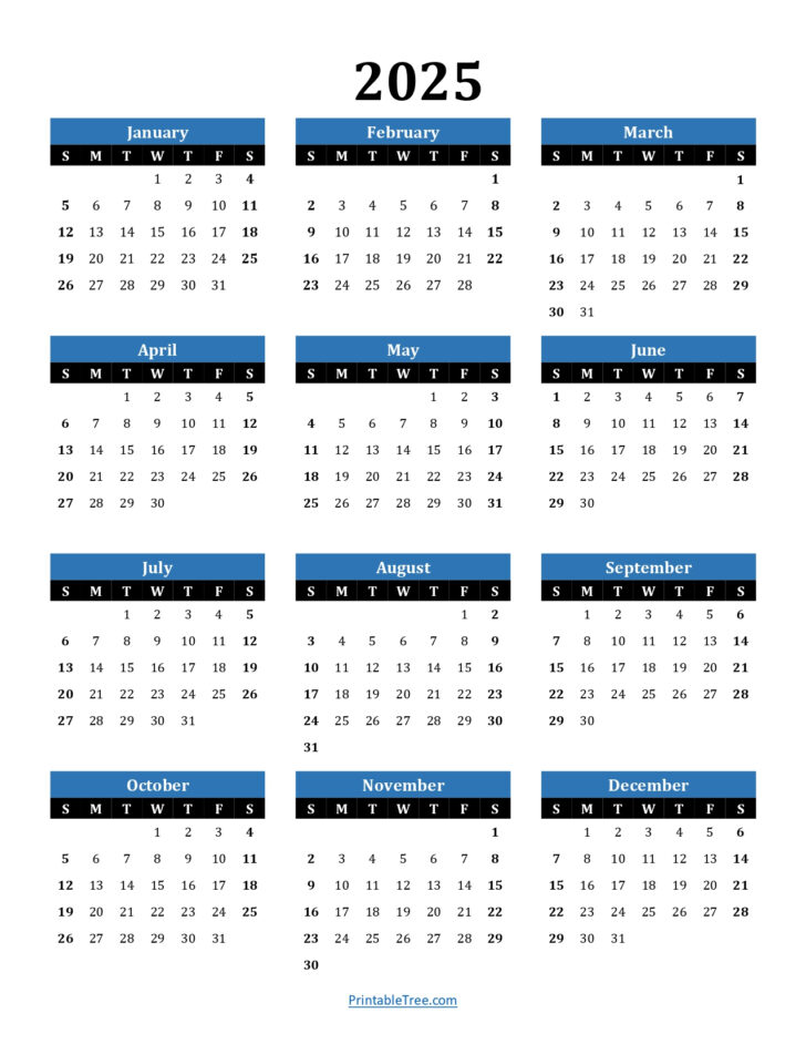 One Liners 2025 Calendar Printable