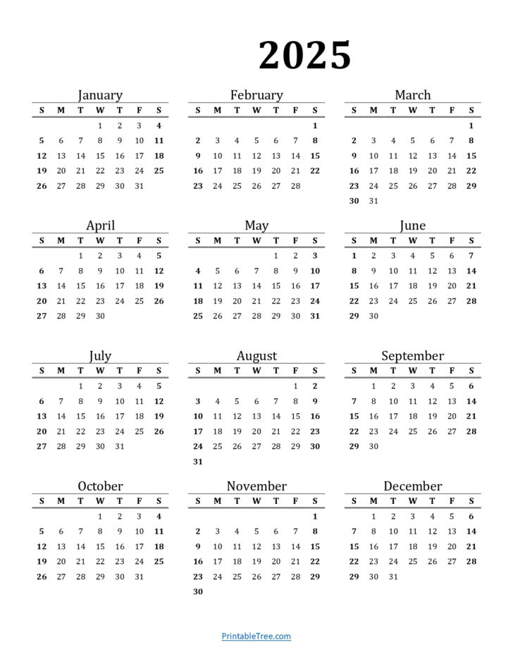 Year of Gratitude 2025 Calendar Printable