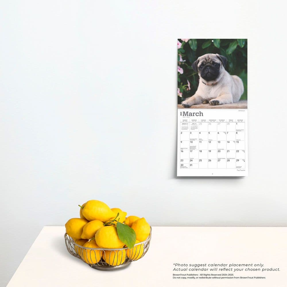 Pug Puppies 2025 Mini Wall Calendar - Calendars with regard to Just Pugs 2025 Calendar Printable