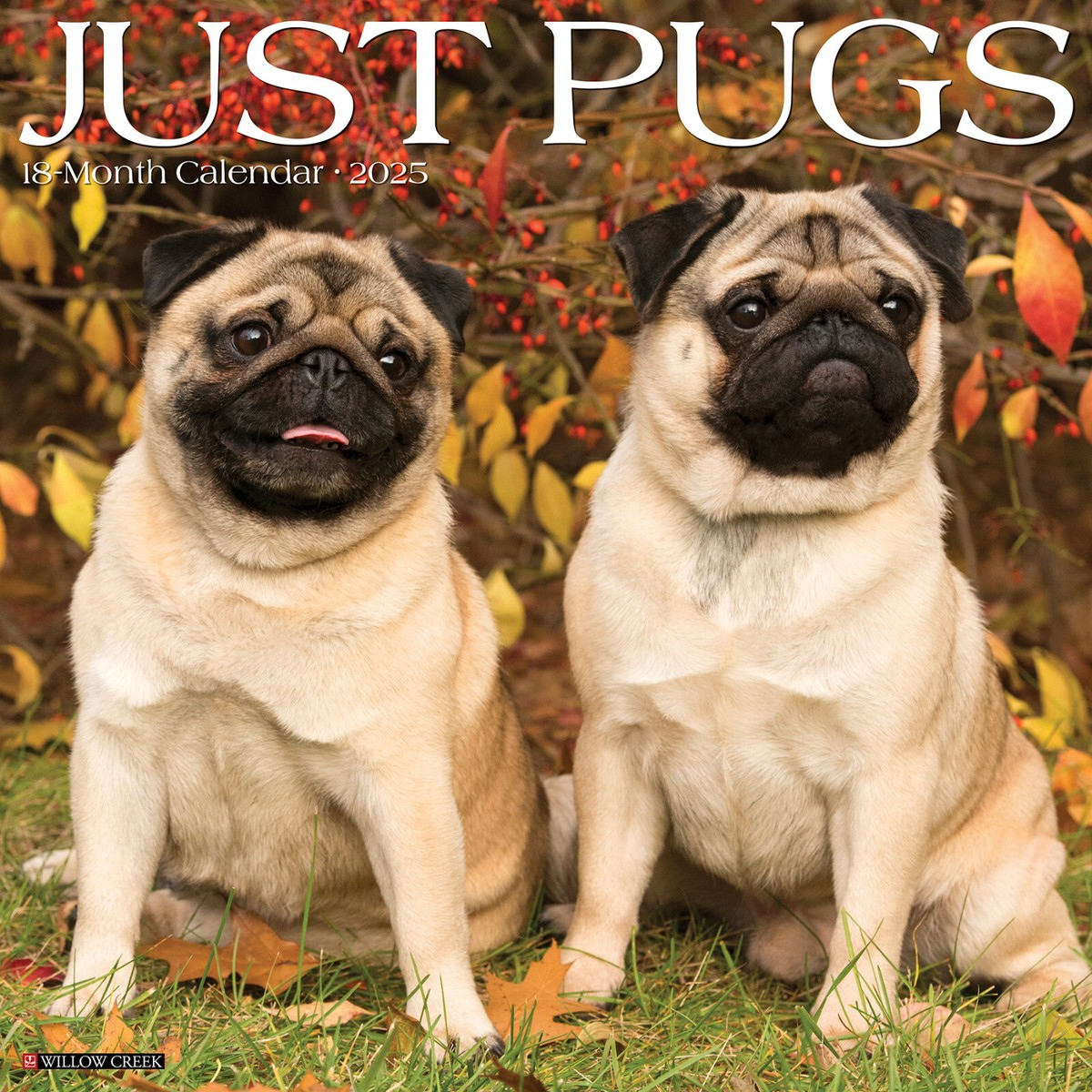Pugs 2025 12&amp;quot; X 12&amp;quot; Wall Calendar (Free Shipping) | Ebay pertaining to Doug the Pug 2025 Calendar Printable
