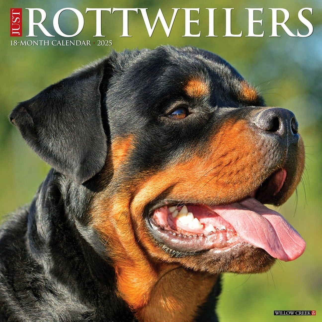 Puppy Playmates 2025 Wall Calendar - Walmart throughout Puppy Playmates 2025 Calendar Printable