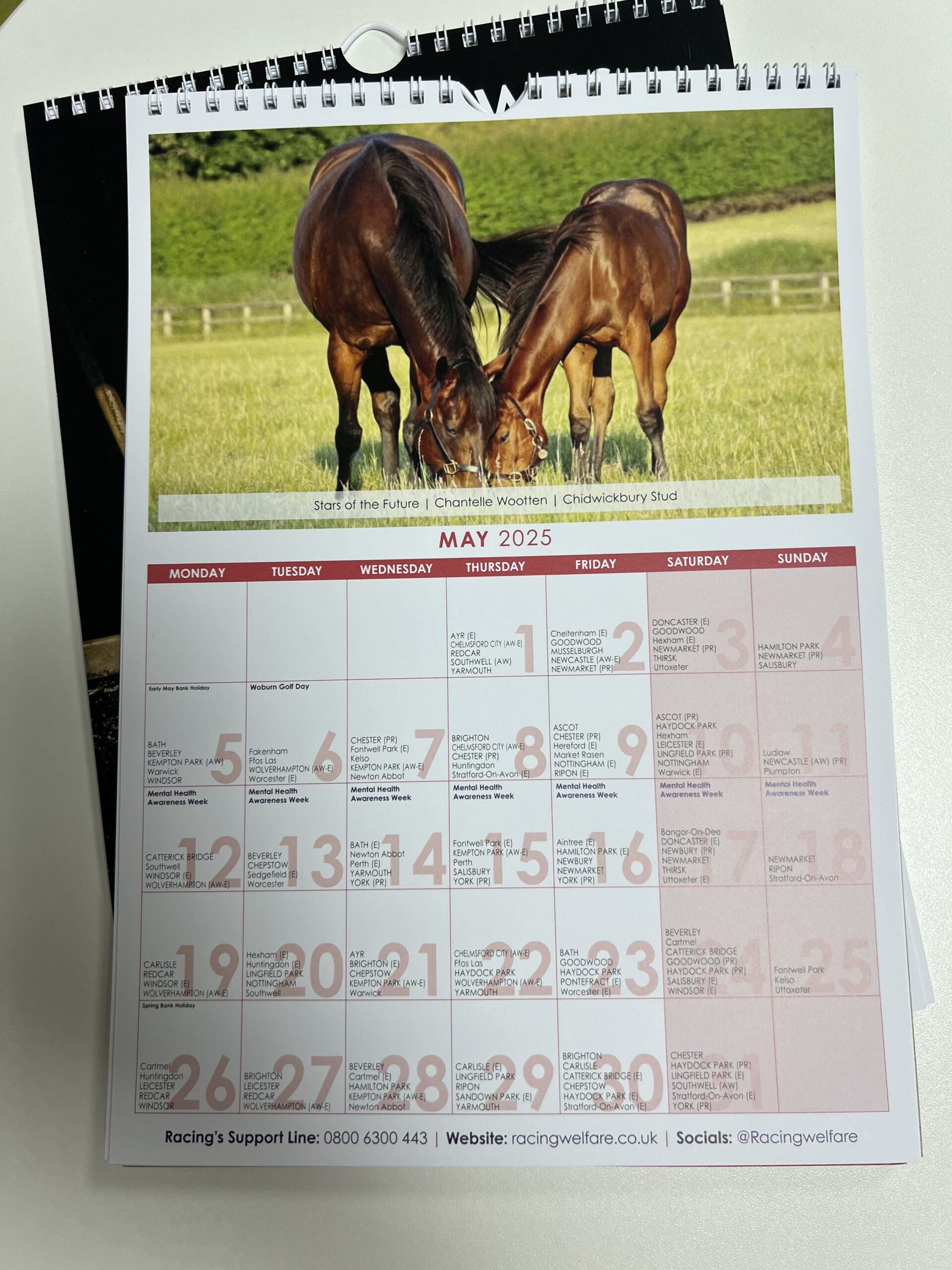 Racing Welfare Calendar A4 2025 - Racing Welfare regarding Horse Racing 2025 Calendar Printable