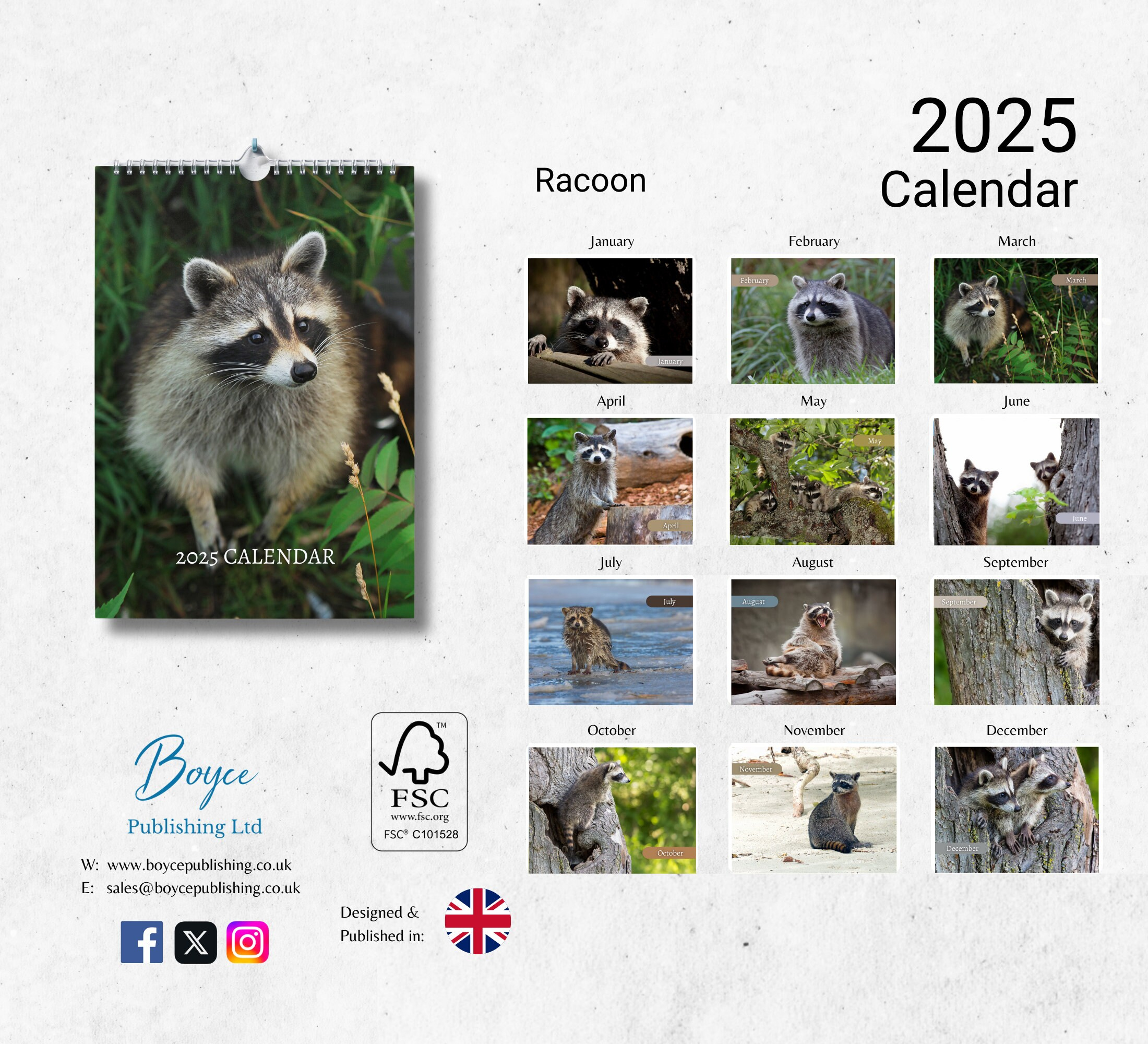 Racoon Calendar 2025: Monthly Wall Calendar With Notes, Hanging A4 pertaining to Rascally Raccoons 2025 Calendar Printable