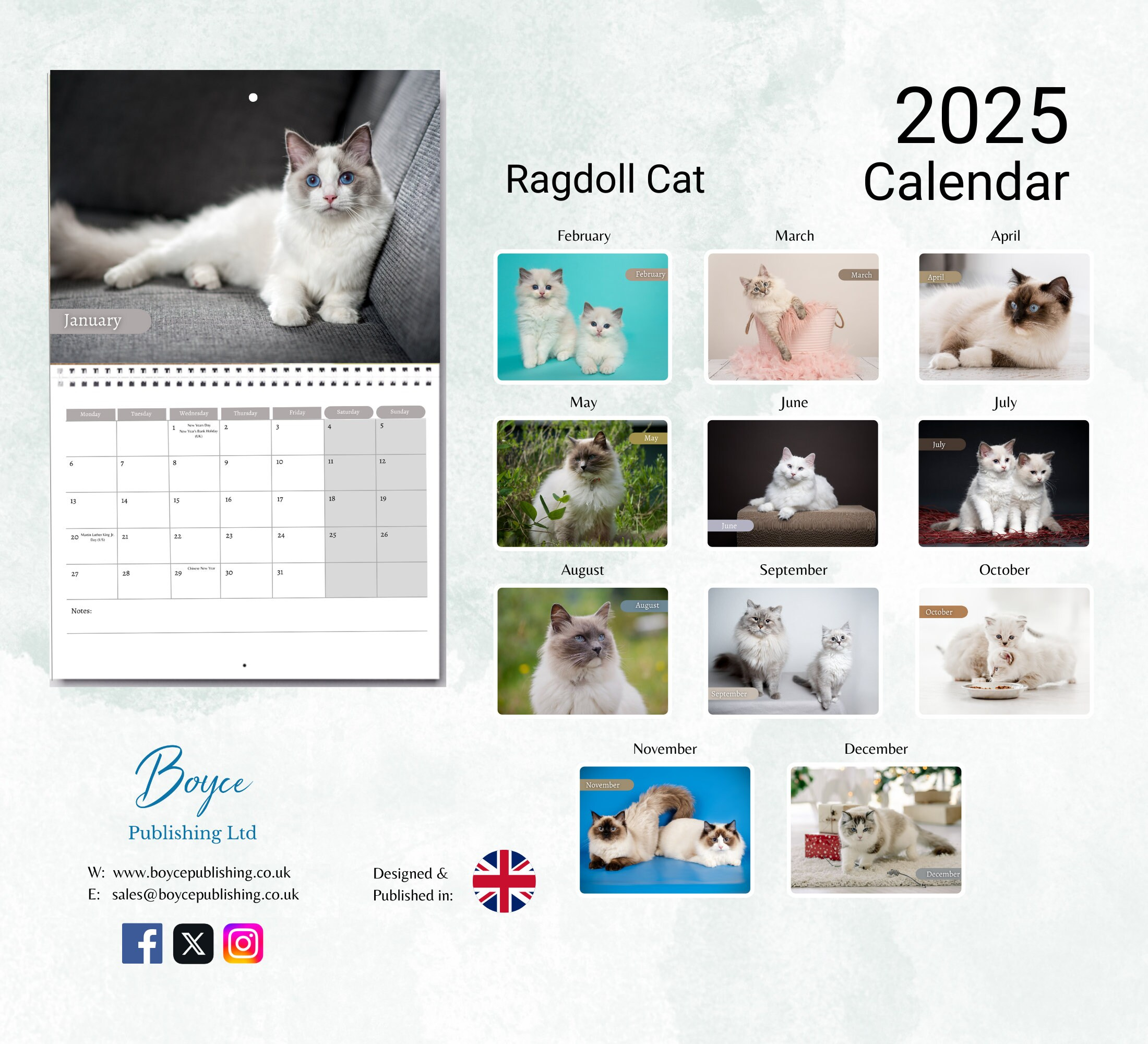 Ragdoll Calendar 2025: Monthly Wall Calendar With Notes, Opens pertaining to Ragdoll Cats 2025 Calendar Printable
