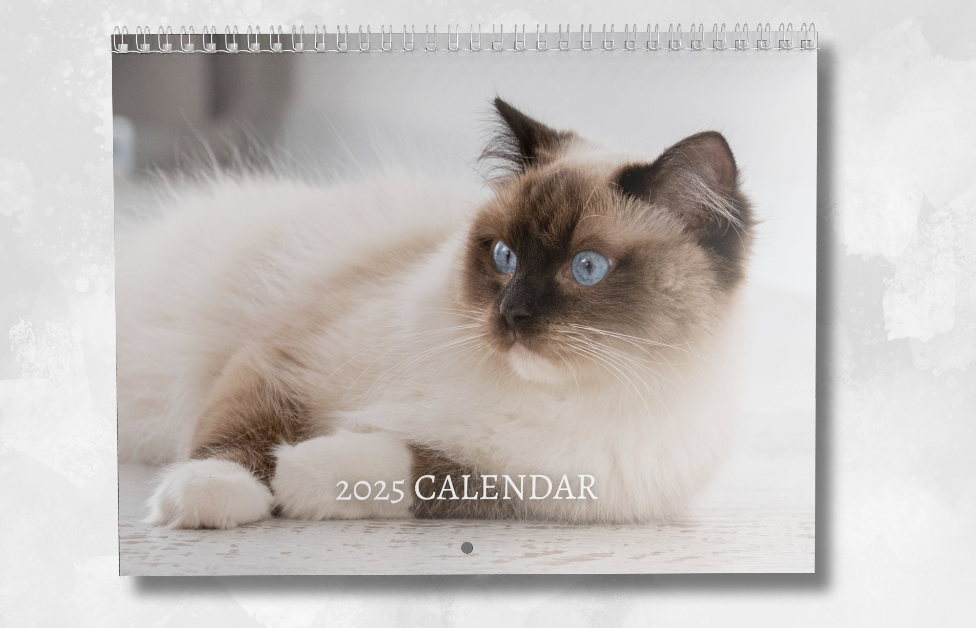 Ragdoll Calendar 2025: Monthly Wall Calendar With Notes, Opens To throughout Ragdoll Cats 2025 Calendar Printable