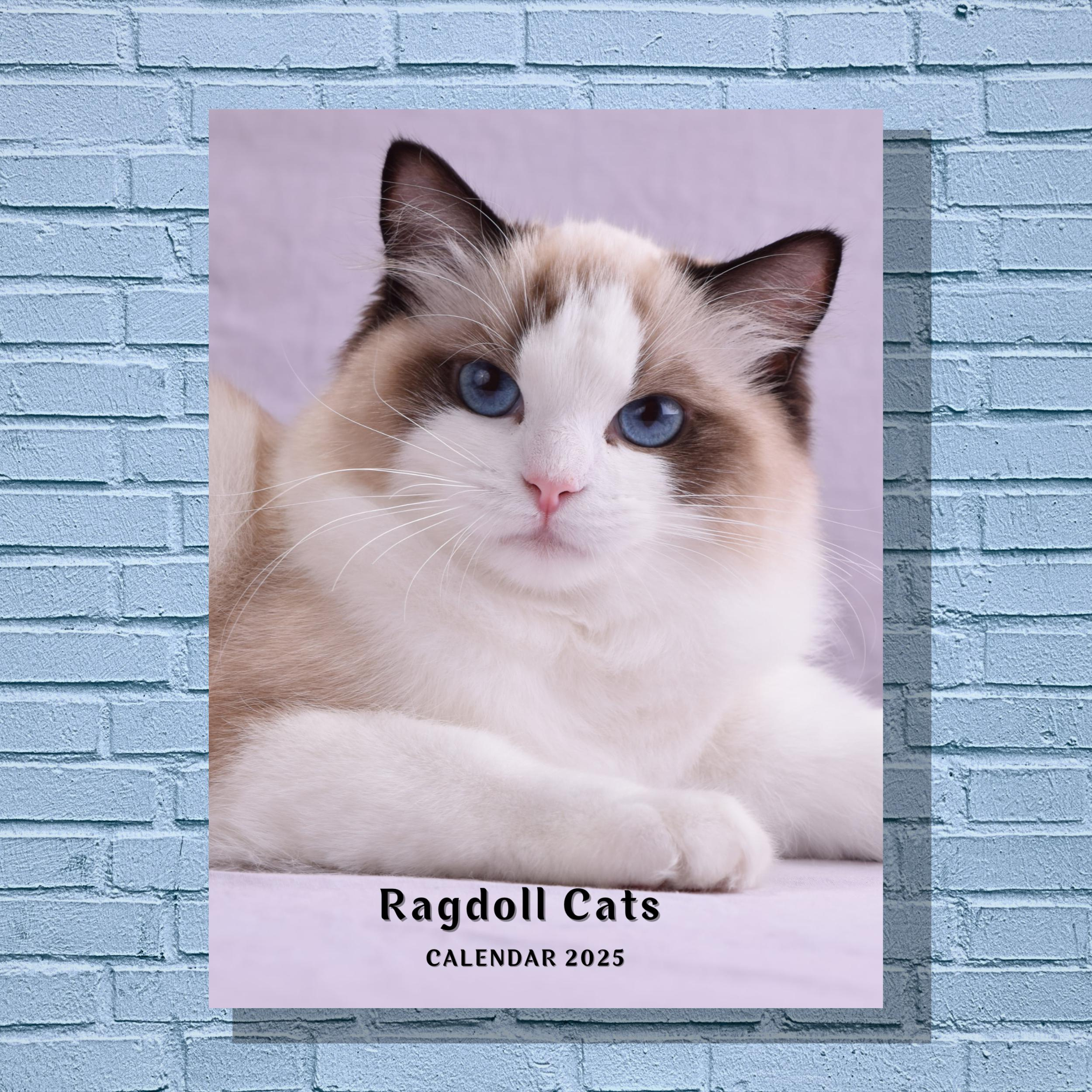 Ragdoll Cats 2025 Calendar - Etsy Canada with Ragdoll Cats 2025 Calendar Printable